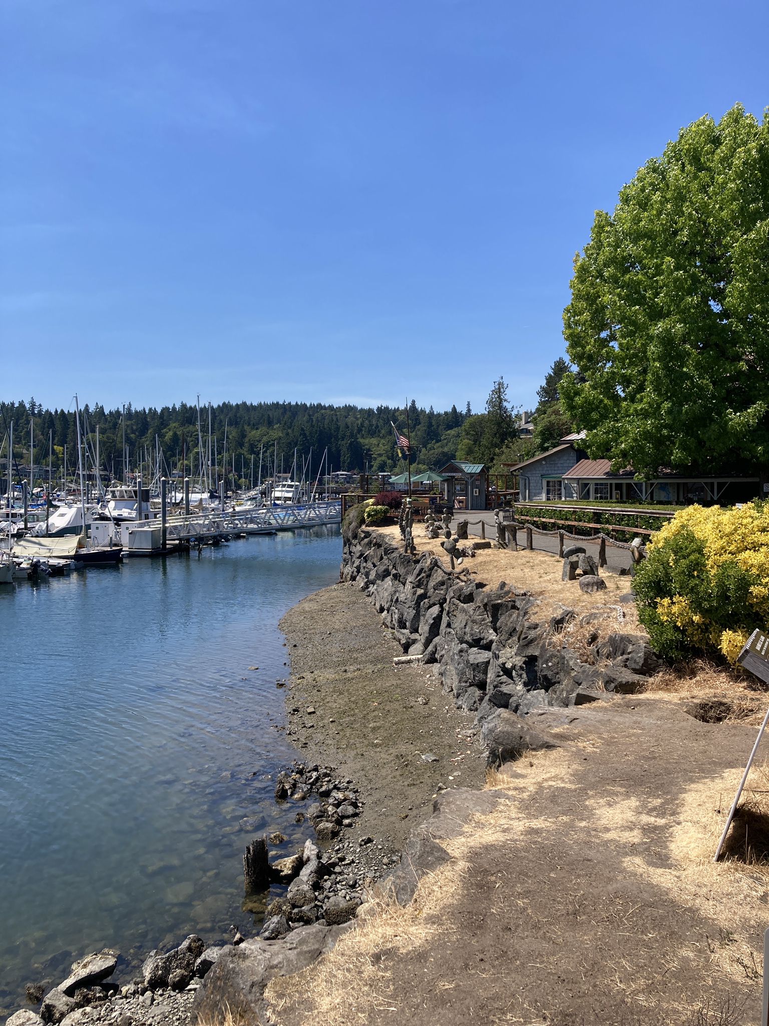 Sunny marina filled with boats, rocky shoreline, and green trees. - Waterfront park loop from east ferry terminal