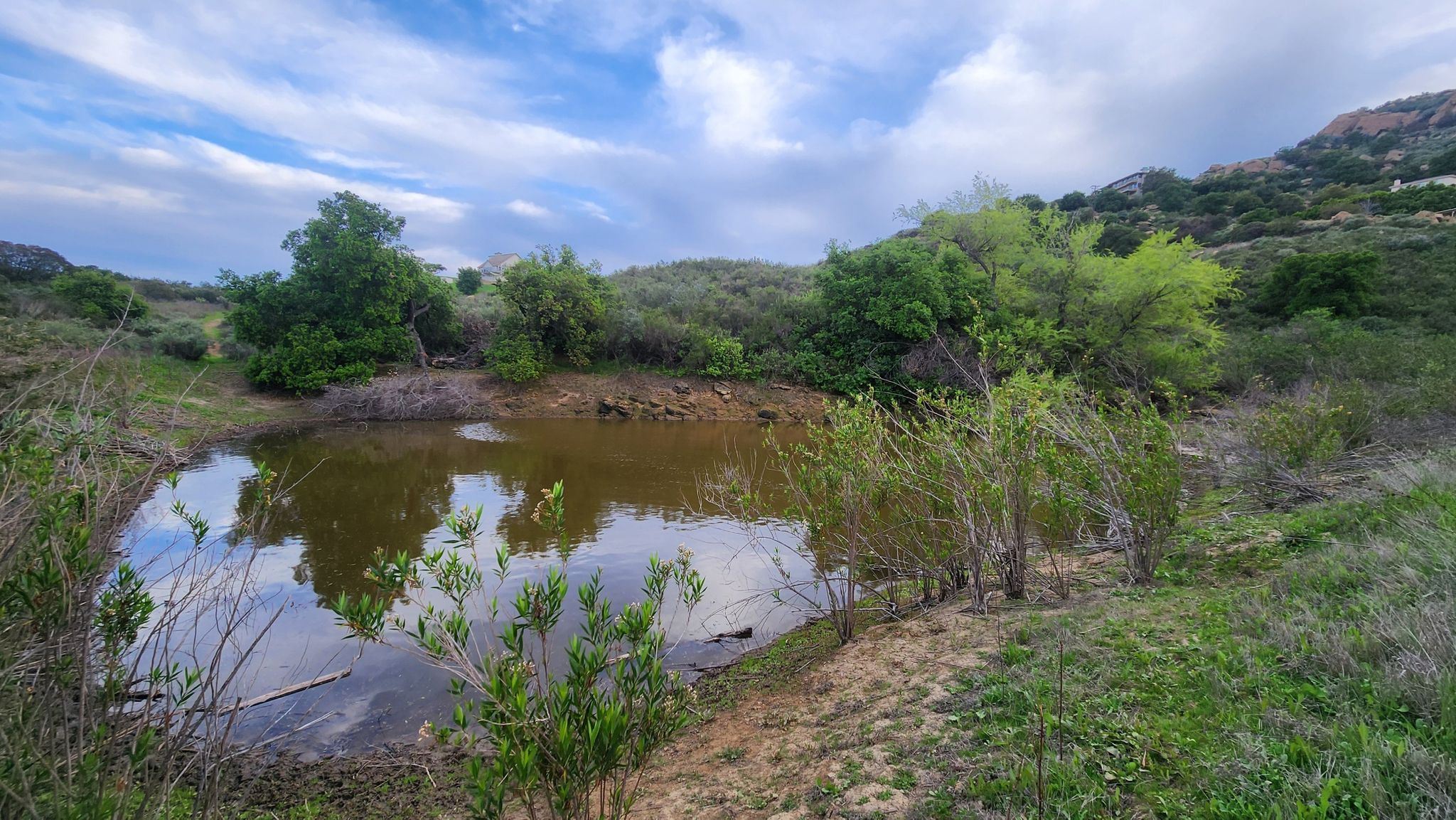 A murky pond surrounded by green trees and bushes under a cloudy sky. - Mattingly Trail to Old Santa Susana Stagecoach Road