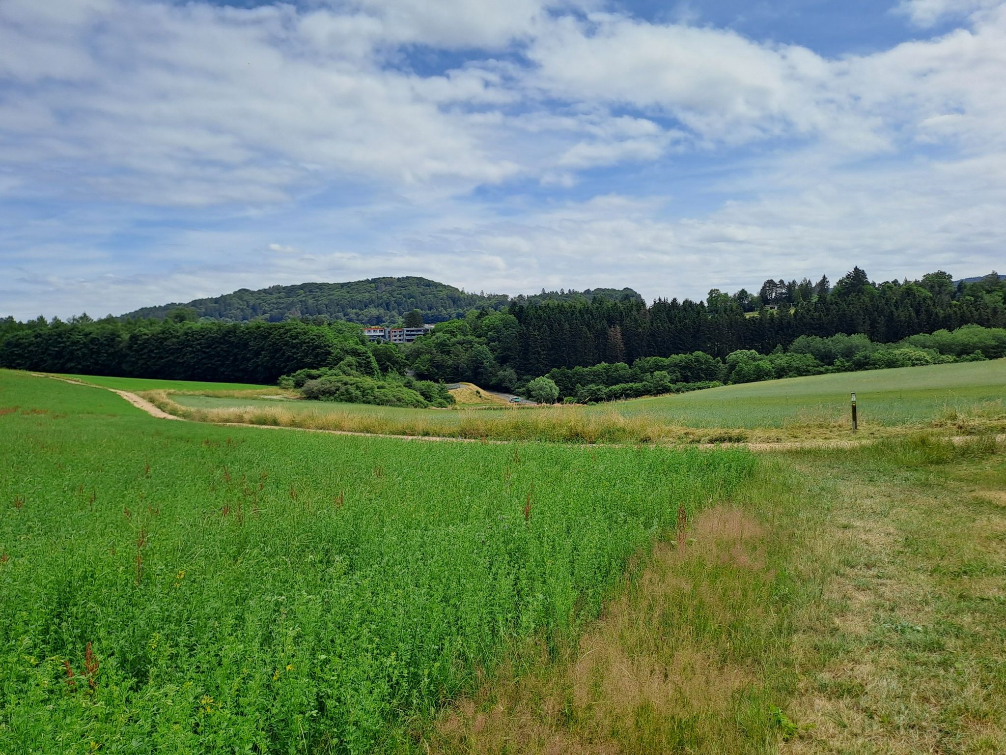 Jetzt hoppel ich munter ins Tal, um hinter da wieder hoch zu kraxeln