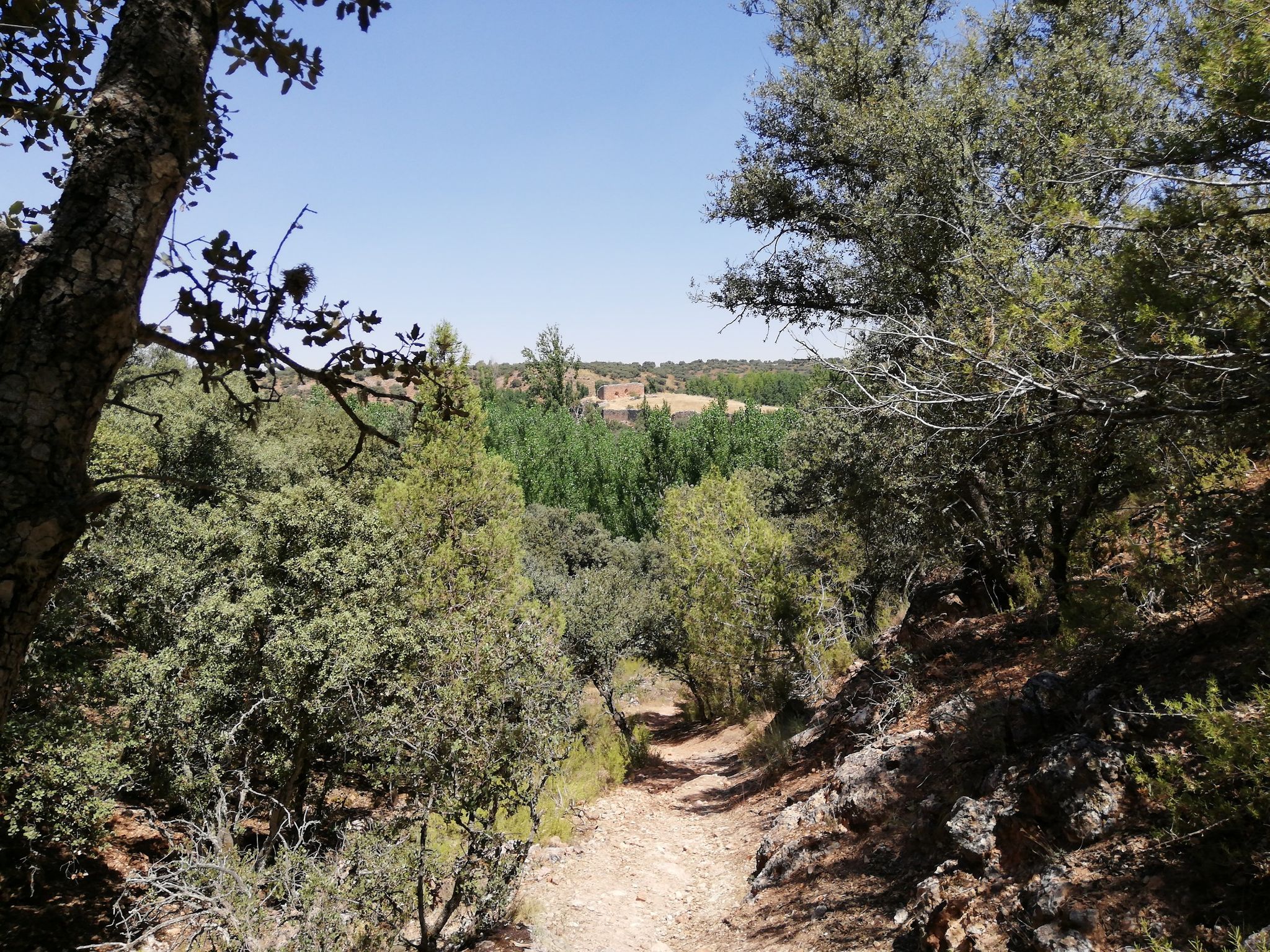 castillo de rochafrida al fondo