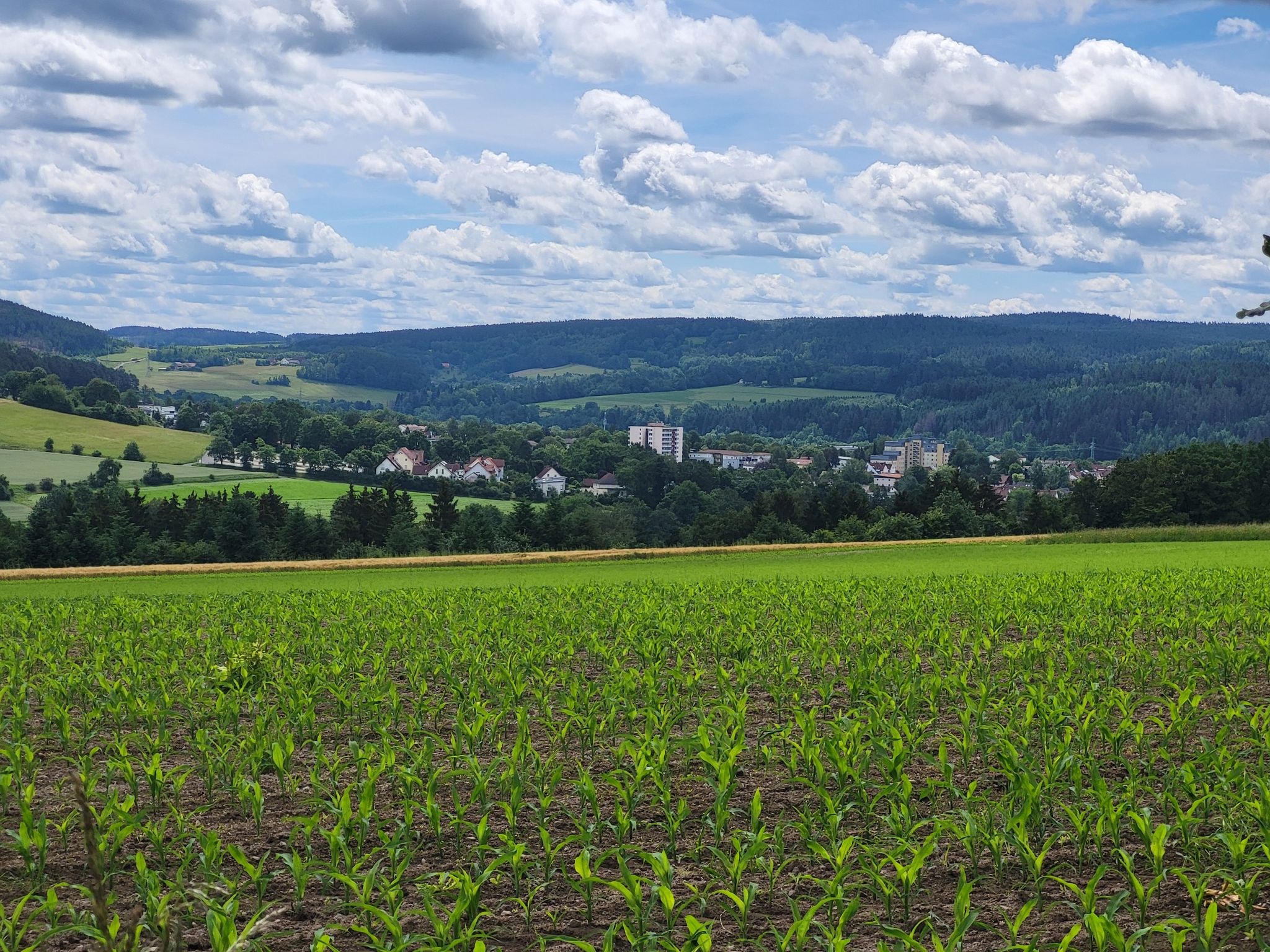 Kronach in Sicht