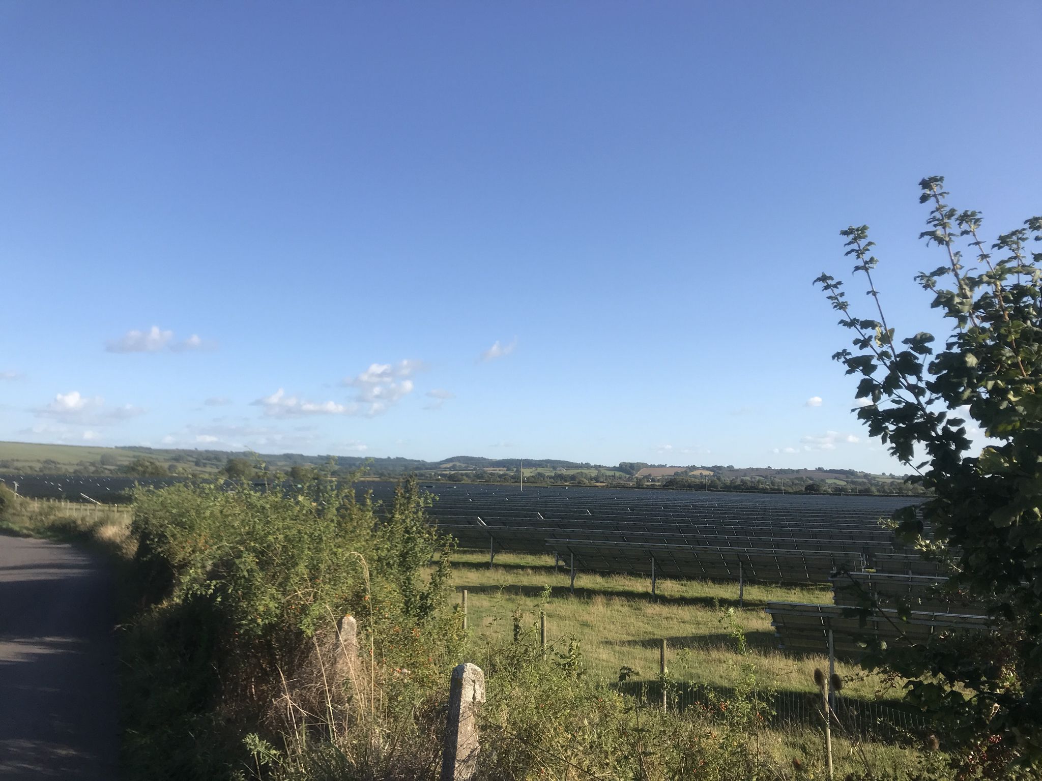 The future, a solar panel and sheep farm mixed field!