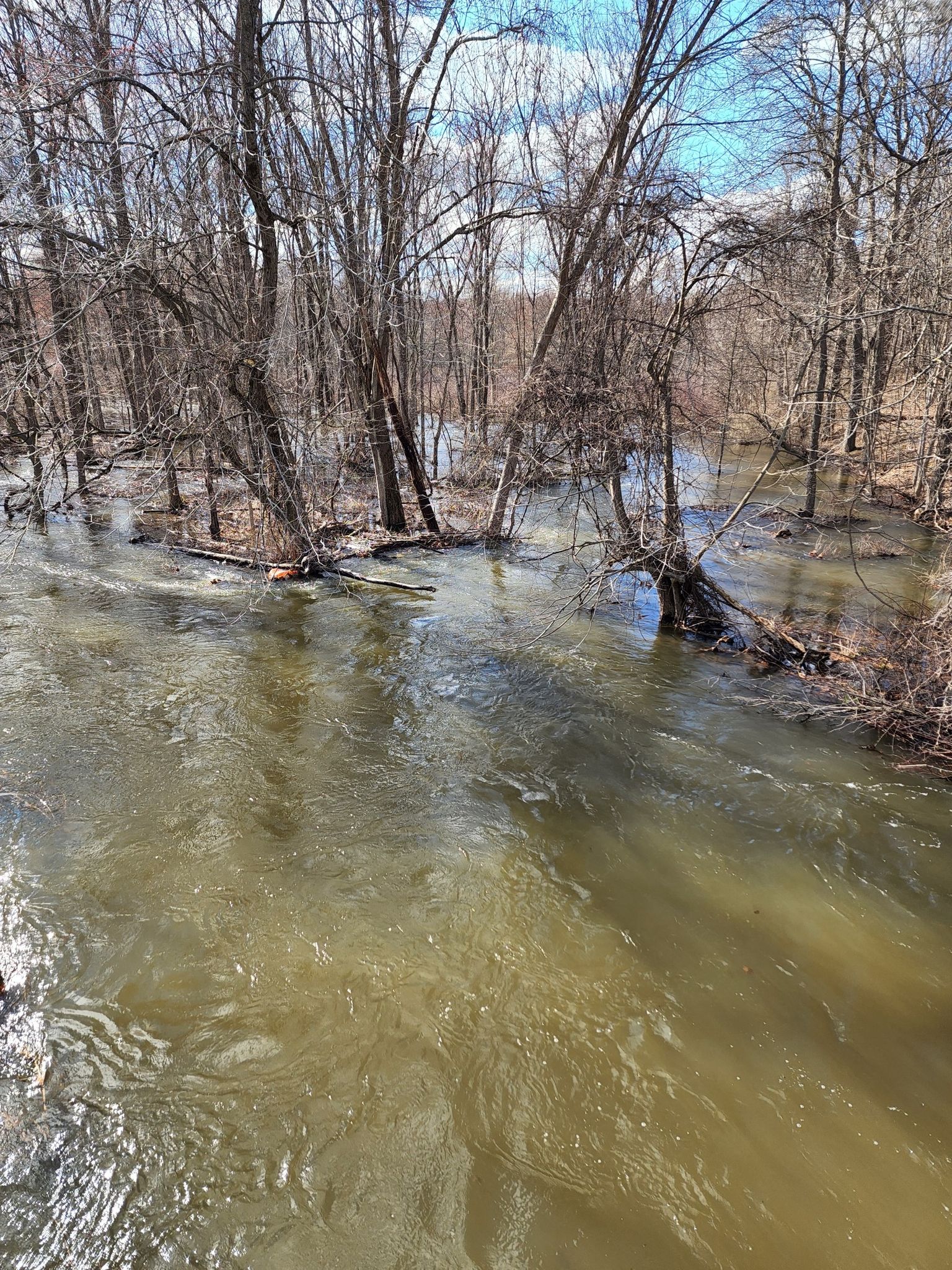 Murky river flowing through a flooded forest with bare trees on a sunny day. - Nassau Lake – Albany-Hudson Electric Trail loop from Village of Nassau