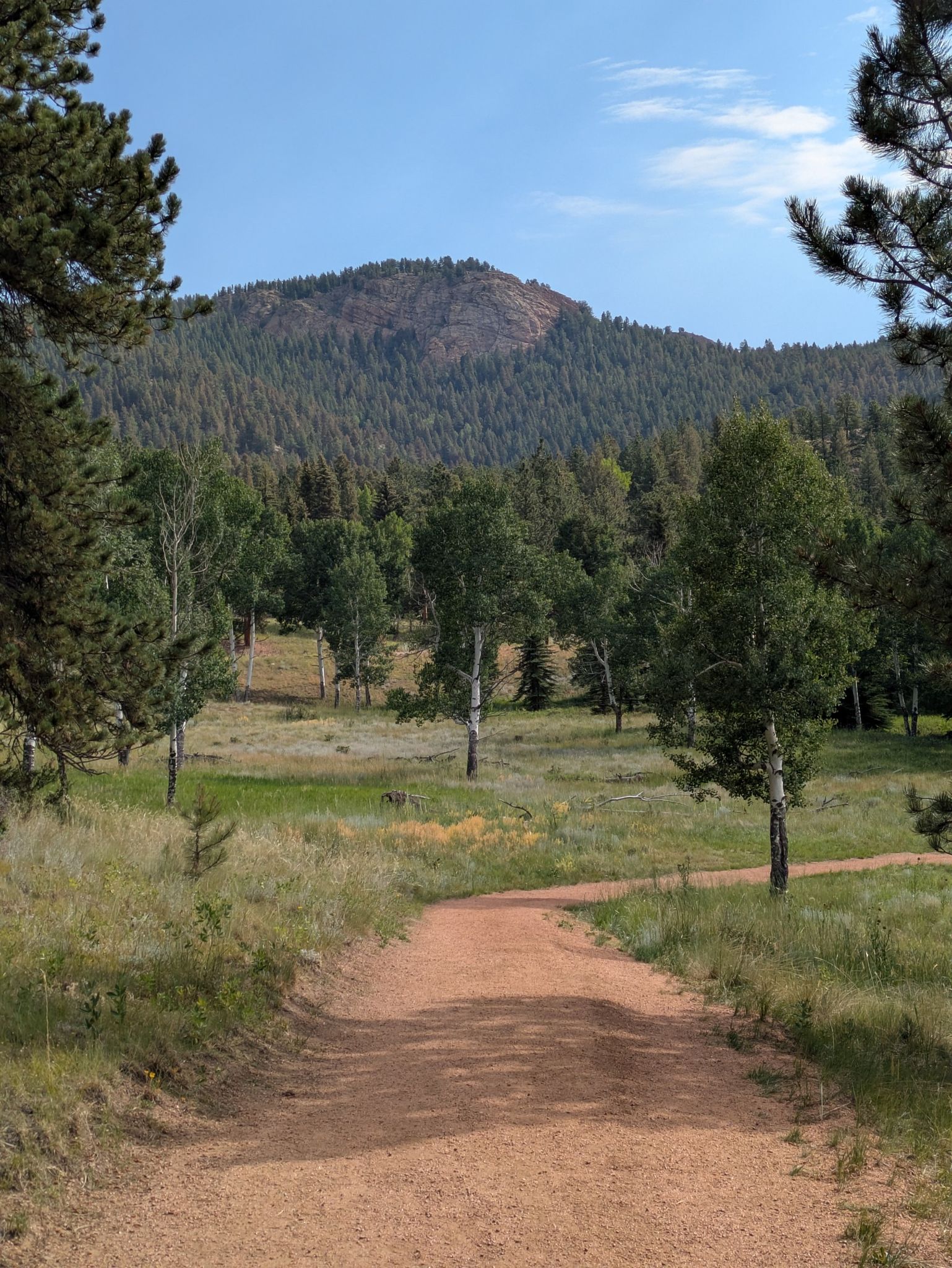 A dirt path leads through a sunny field towards a forested mountain. - Davis Ponds Loop Trail