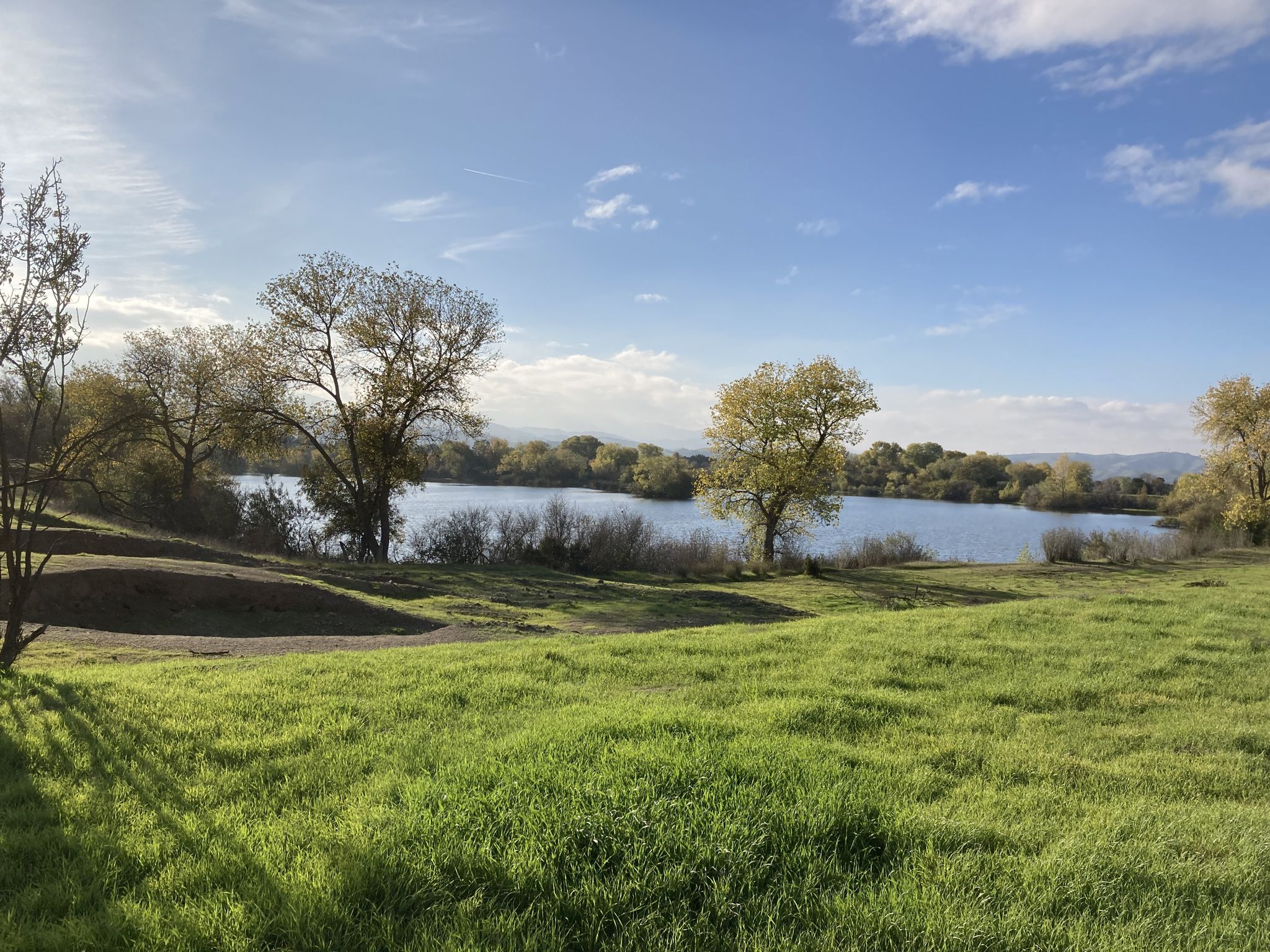 Sunny view of a calm lake surrounded by green grass and trees. - Coyote Creek Trail