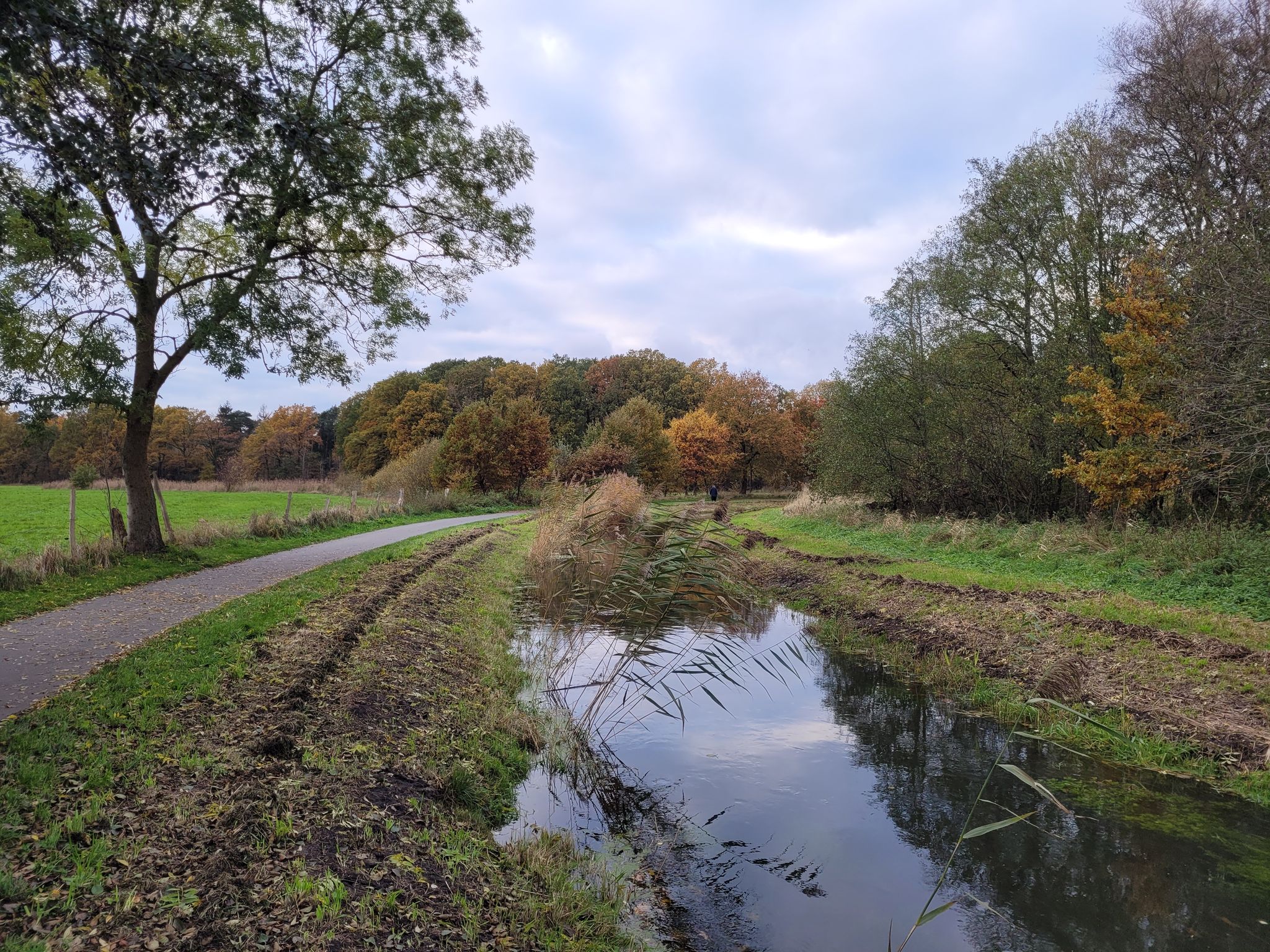 Mühlenriede