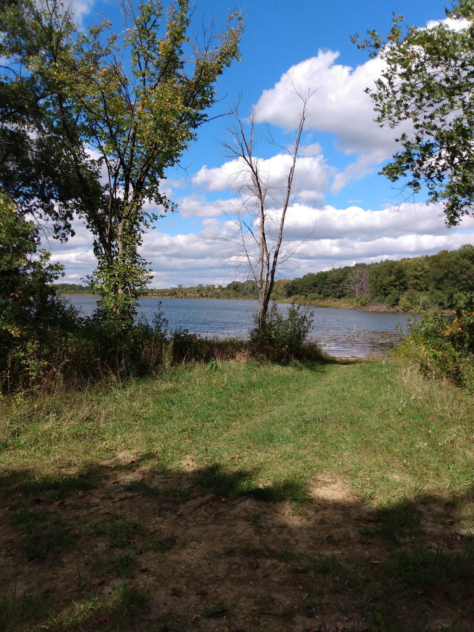 Grassy path leading to a lake surrounded by trees under a bright sky. - Sag Valley Brown Unpaved Loop
