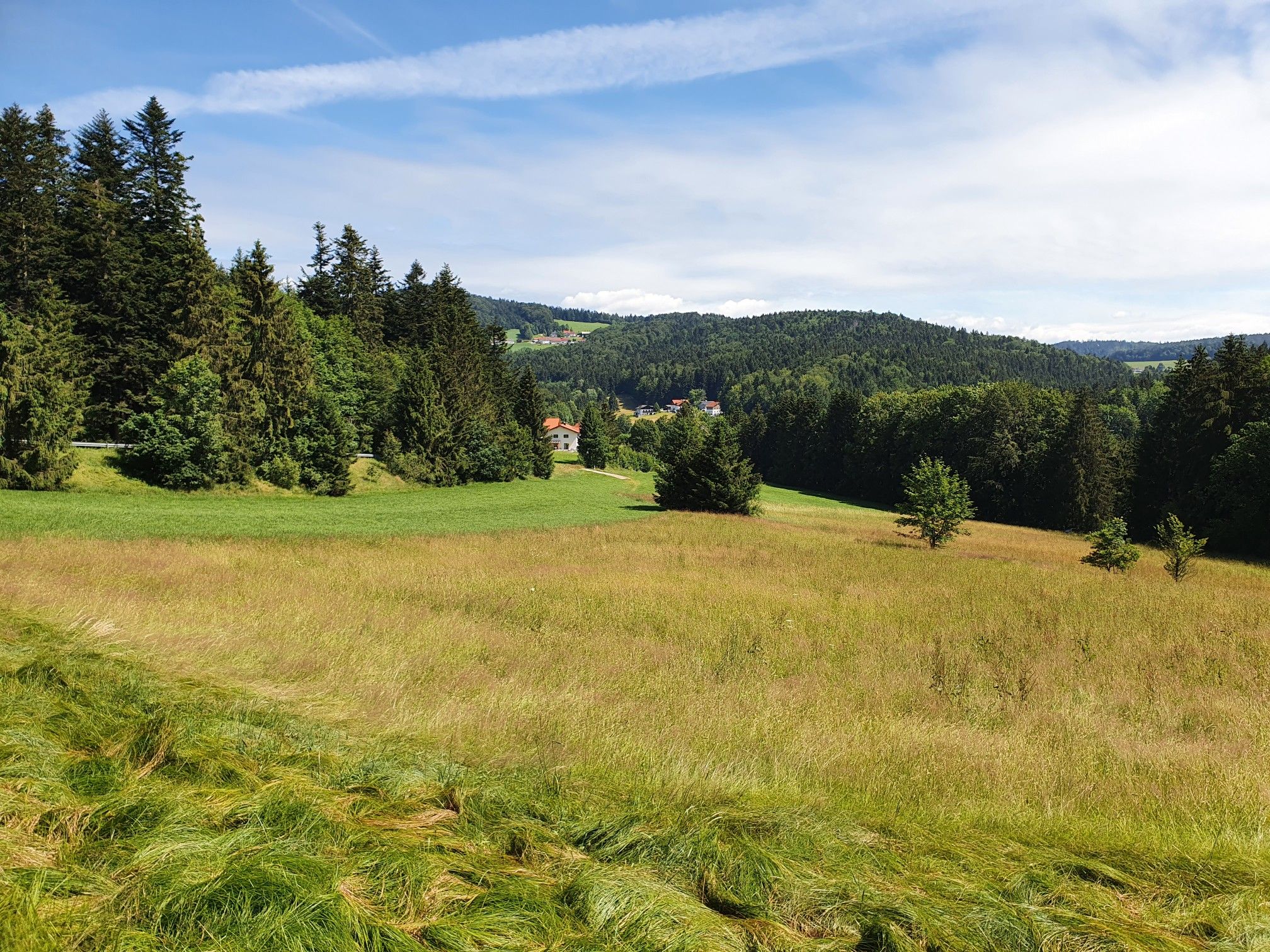 Thurnreuth und Ratzing