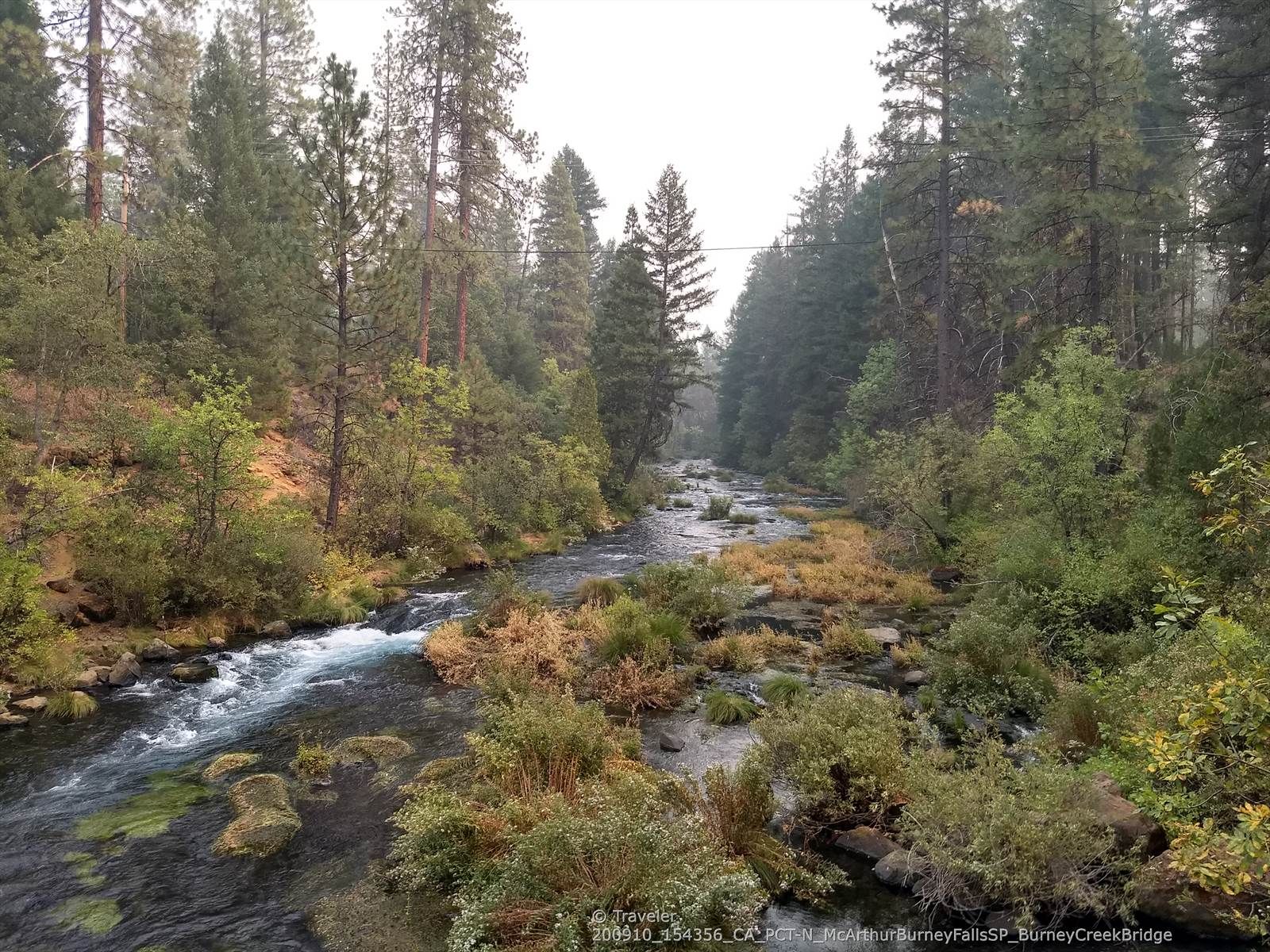 A river flowing through a dense forest with muted light on an overcast day. - Burney Falls – Footbridge across Burney Creek loop from McArthur-Burney Falls Memorial State Park