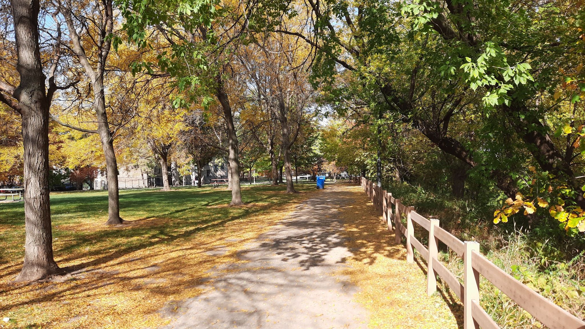 A sunlit park path lined with autumn trees and a wooden fence. - North Shore Channel – North Shore Channel Trail loop from Logan Square
