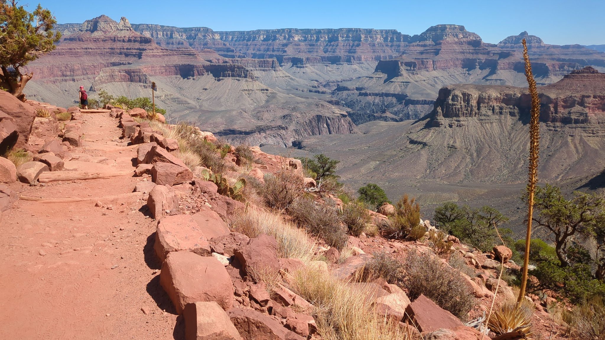 Hiker on a red dirt trail overlooking a vast, sunlit canyon. - South Kaibab Trail to Skeleton Point