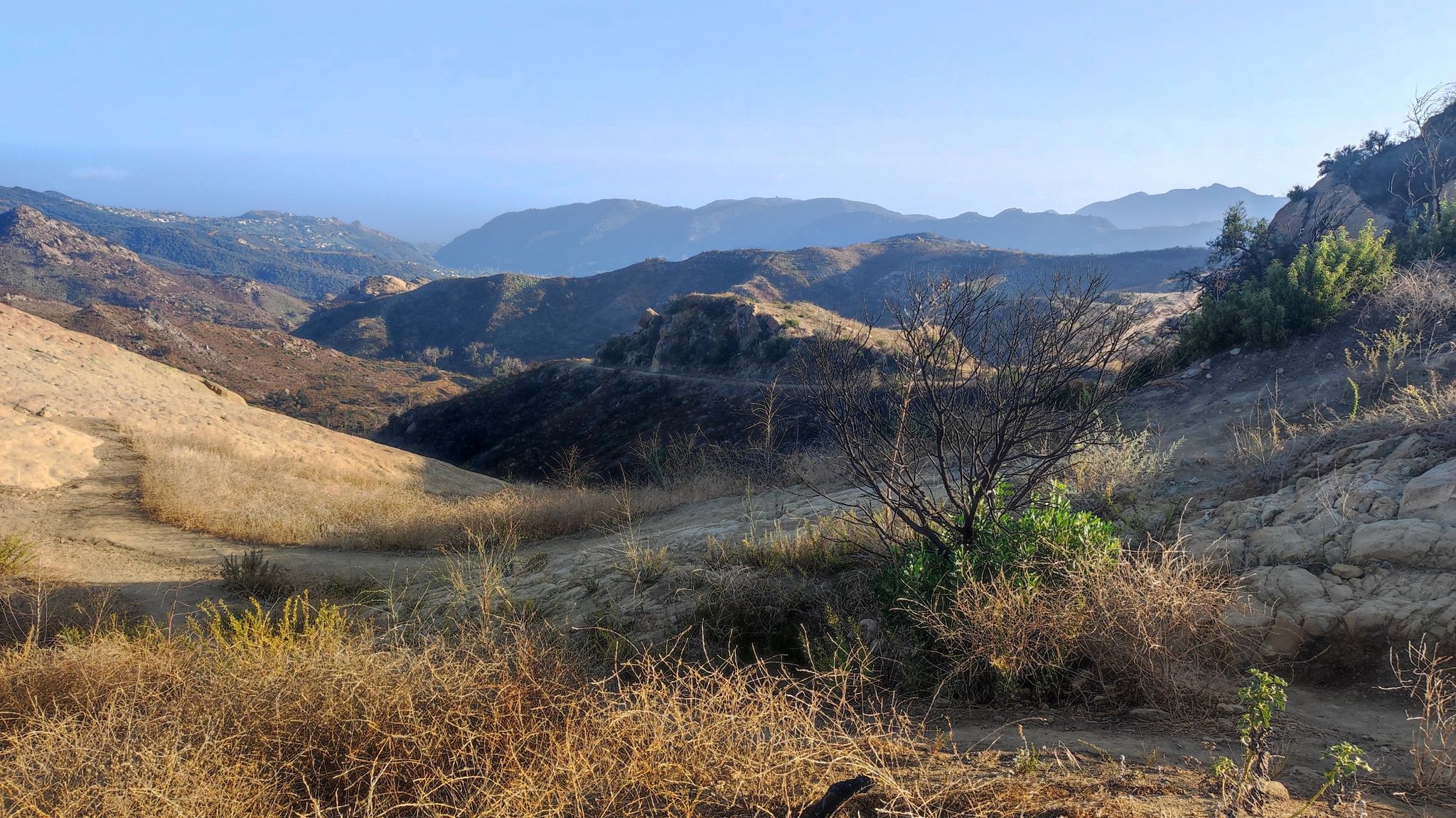 Expansive view of dry, rolling hills and valleys under a clear sky. - Eagle Springs Fire Road