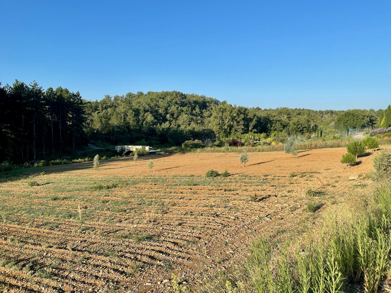 Bei Saint-Maurice-d'Ardèche