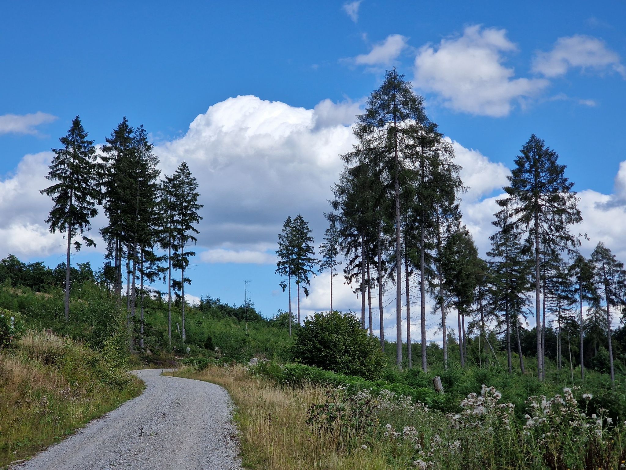Chicer/entspannter Abschnitt