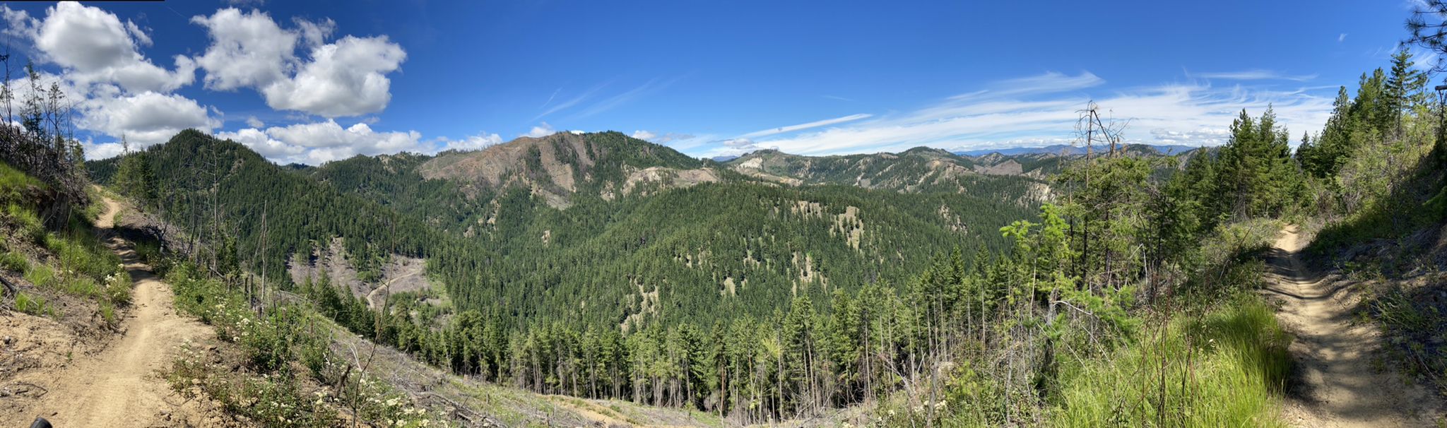Panoramic view of lush green mountains and valleys under a bright blue sky. - Red Devil - Red Hill Loop