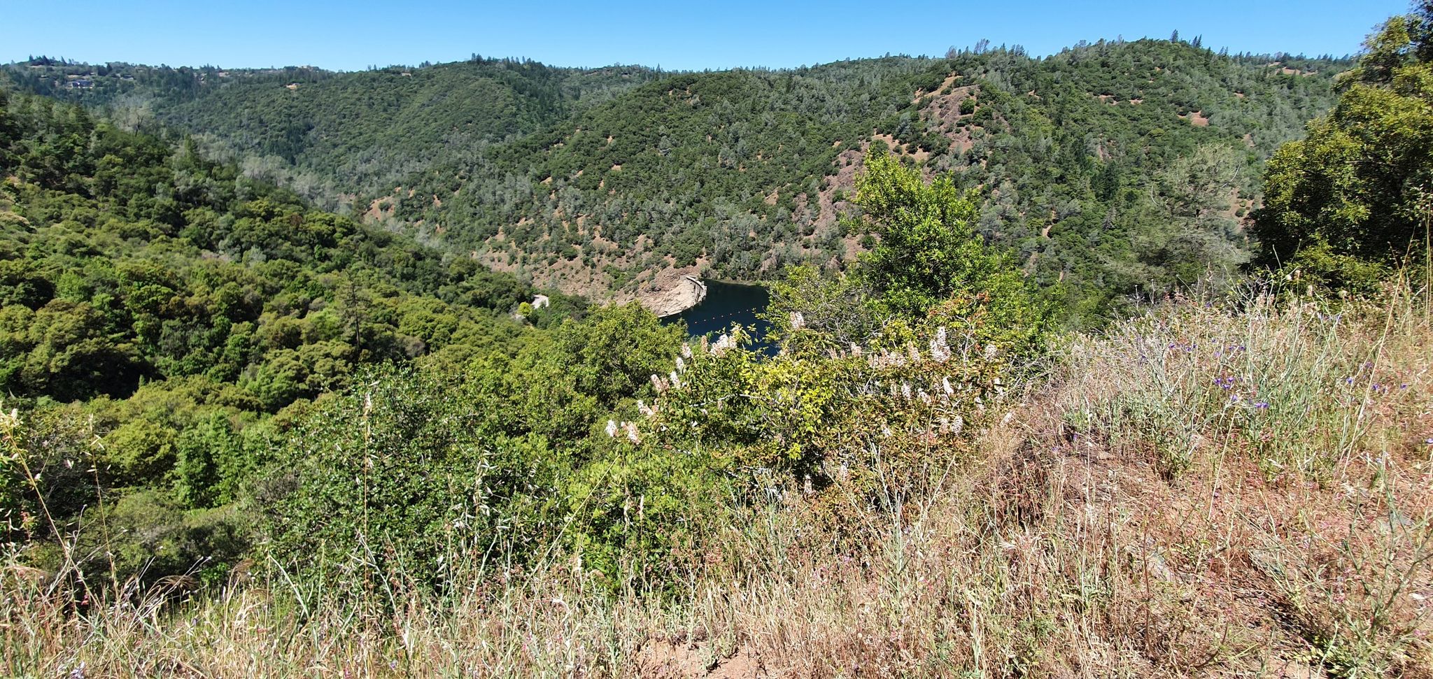 A panoramic view of a vast, green forested valley with a winding river. - Fuel Break Trail – Foresthill Bridge loop from North Fork Dam
