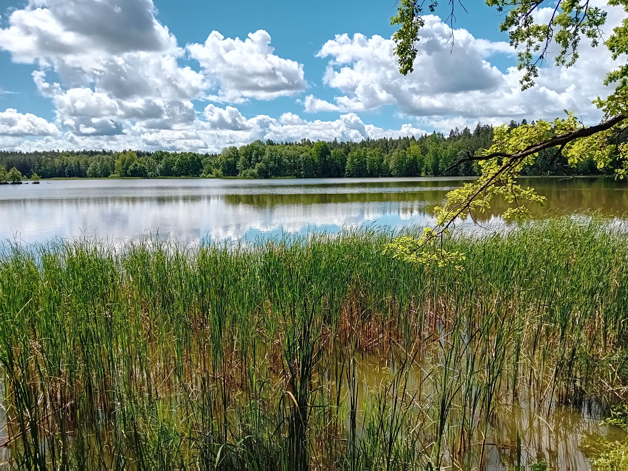 Novy rybnik an der 1501 nach Majdalena