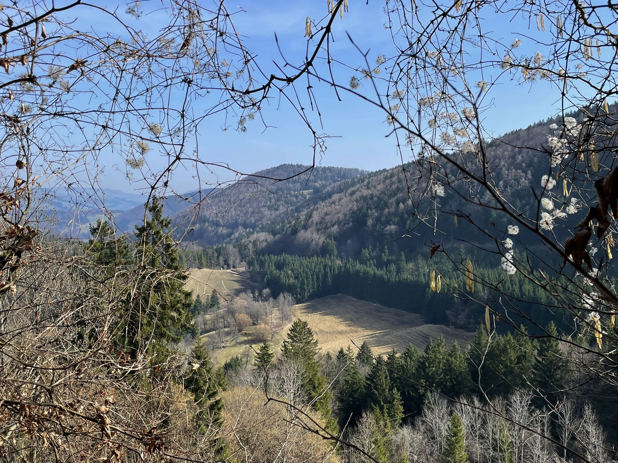 Blick zur Holzbauernkreuz-Kapelle