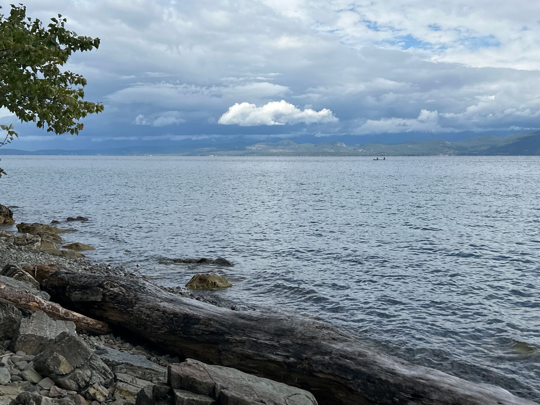 Rocky lake shore with a large log under a cloudy sky. - Flathead Lake State Park West Shore Loop