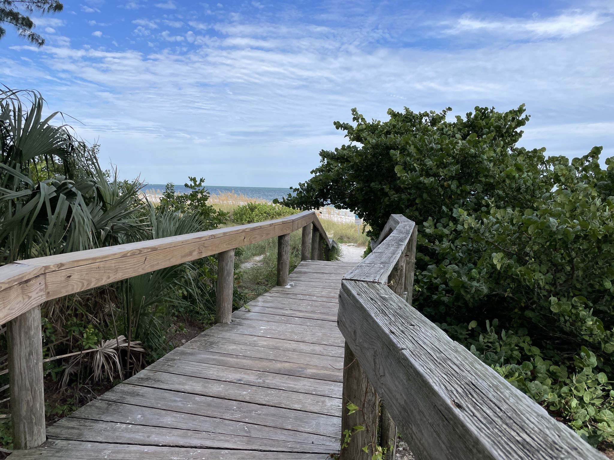 Wooden boardwalk winding through green coastal vegetation towards the ocean. - Anna Maria Island Beach Walk