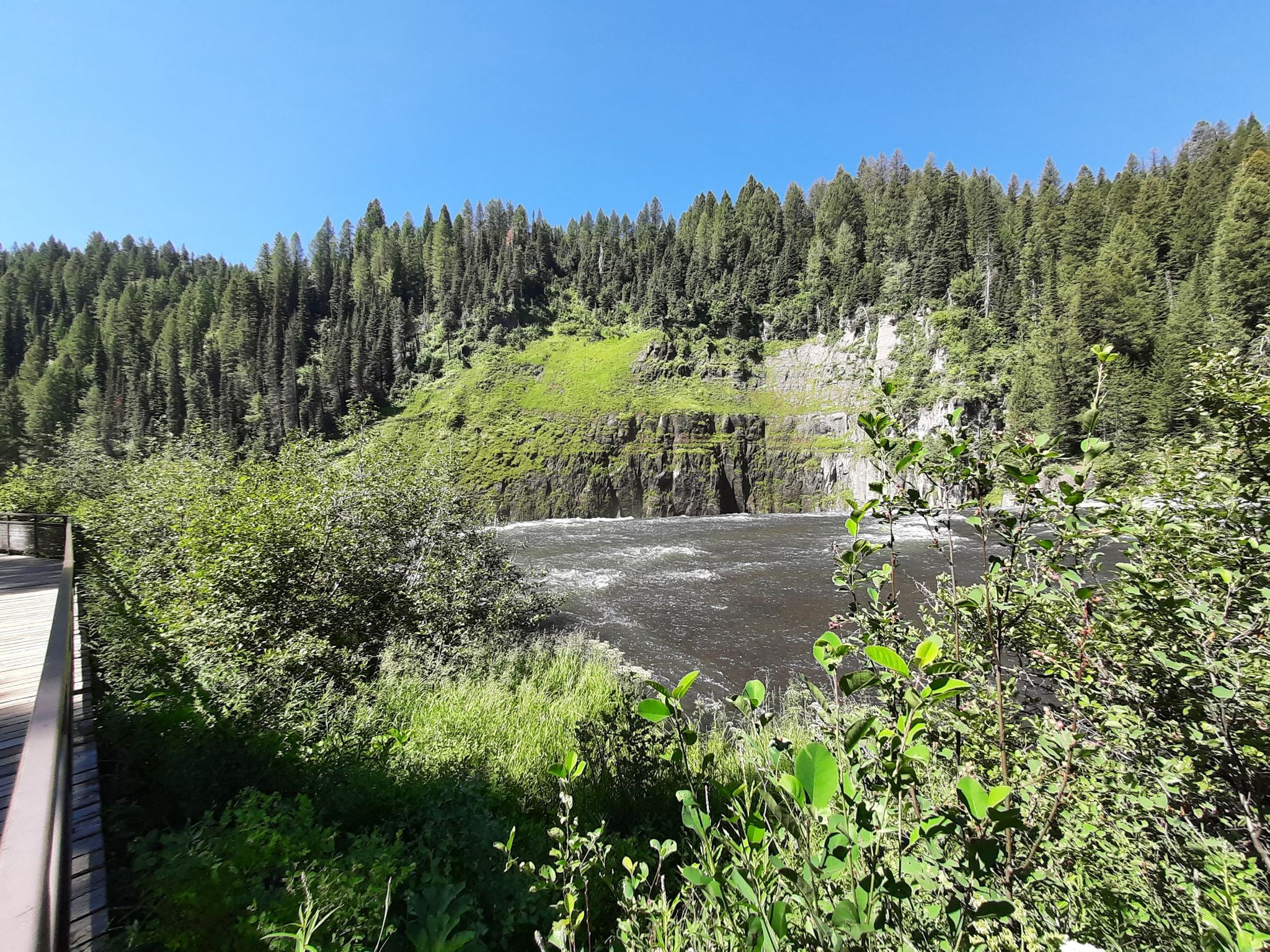 A wide river flows past a forested cliff, with a wooden boardwalk nearby. - Bear Gulch to Upper Mesa Falls