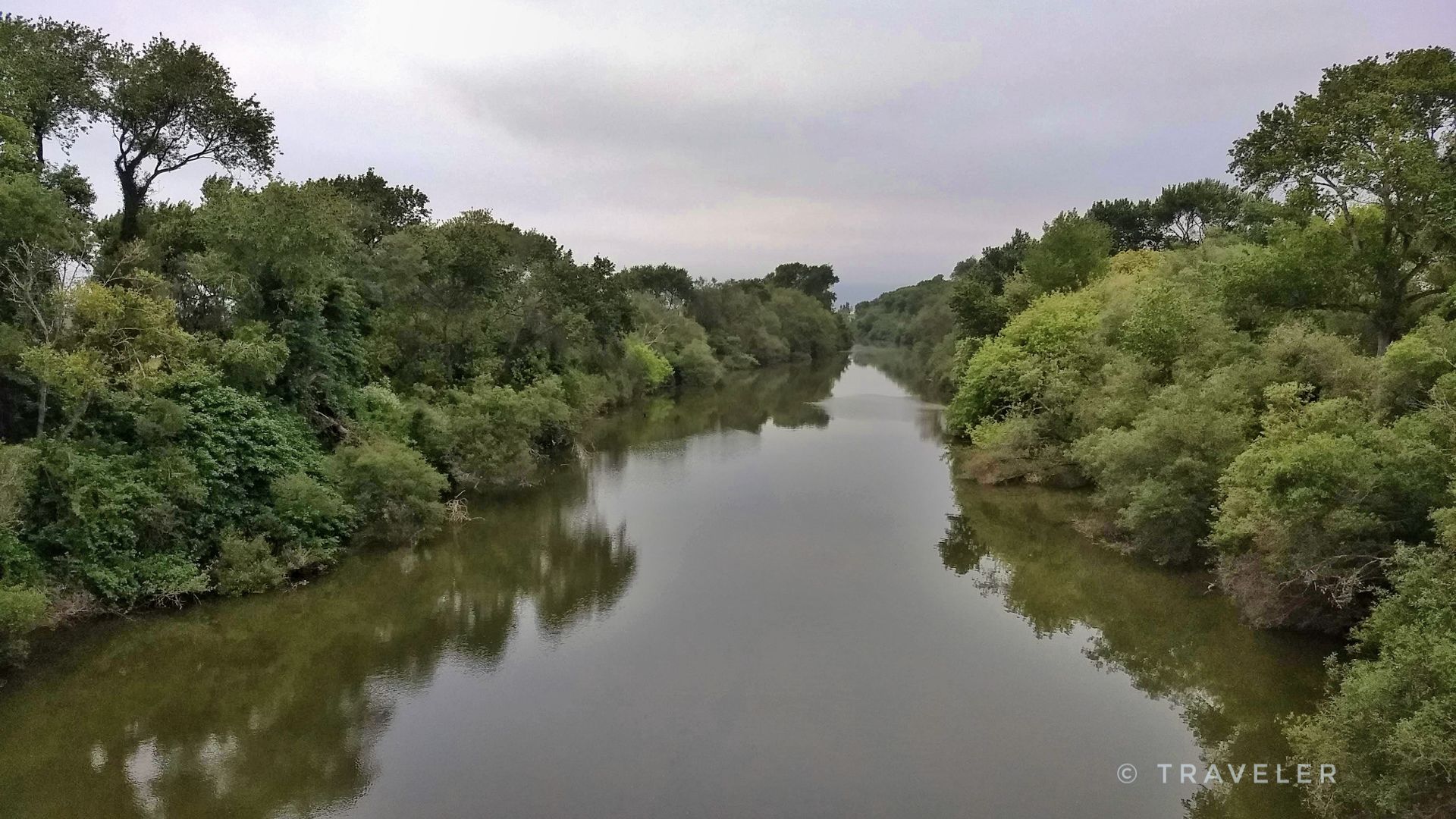 A calm river flows between dense green trees under an overcast sky. - Salsipuedes-Pajarro Cycleway – Pajaro River loop from Freedom