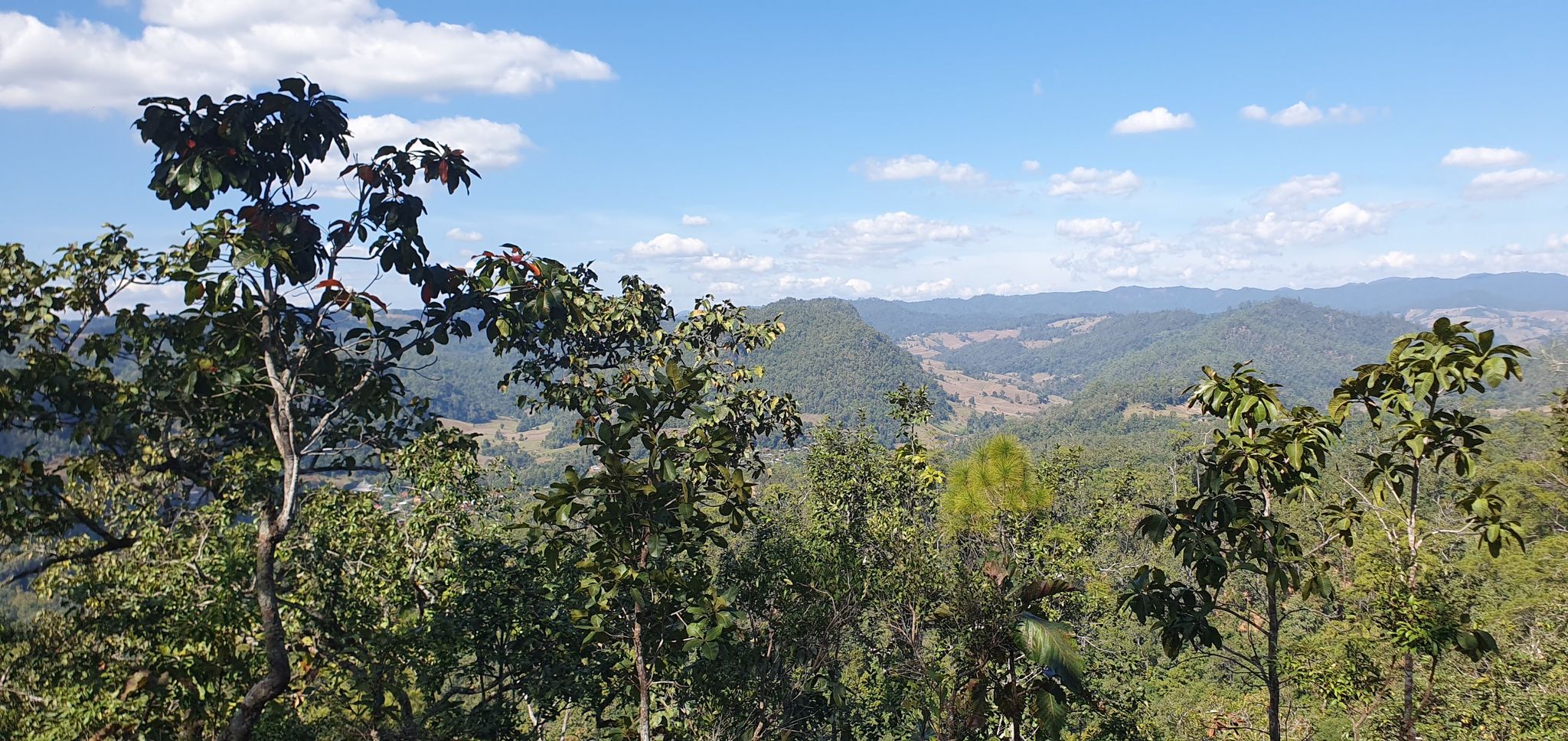 view point