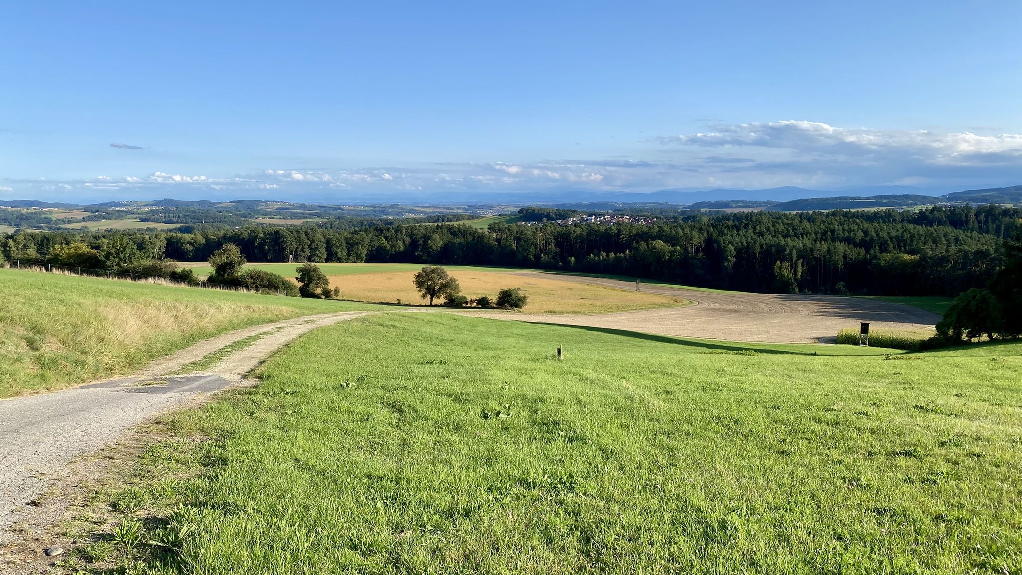 Almesberg -> Wögern