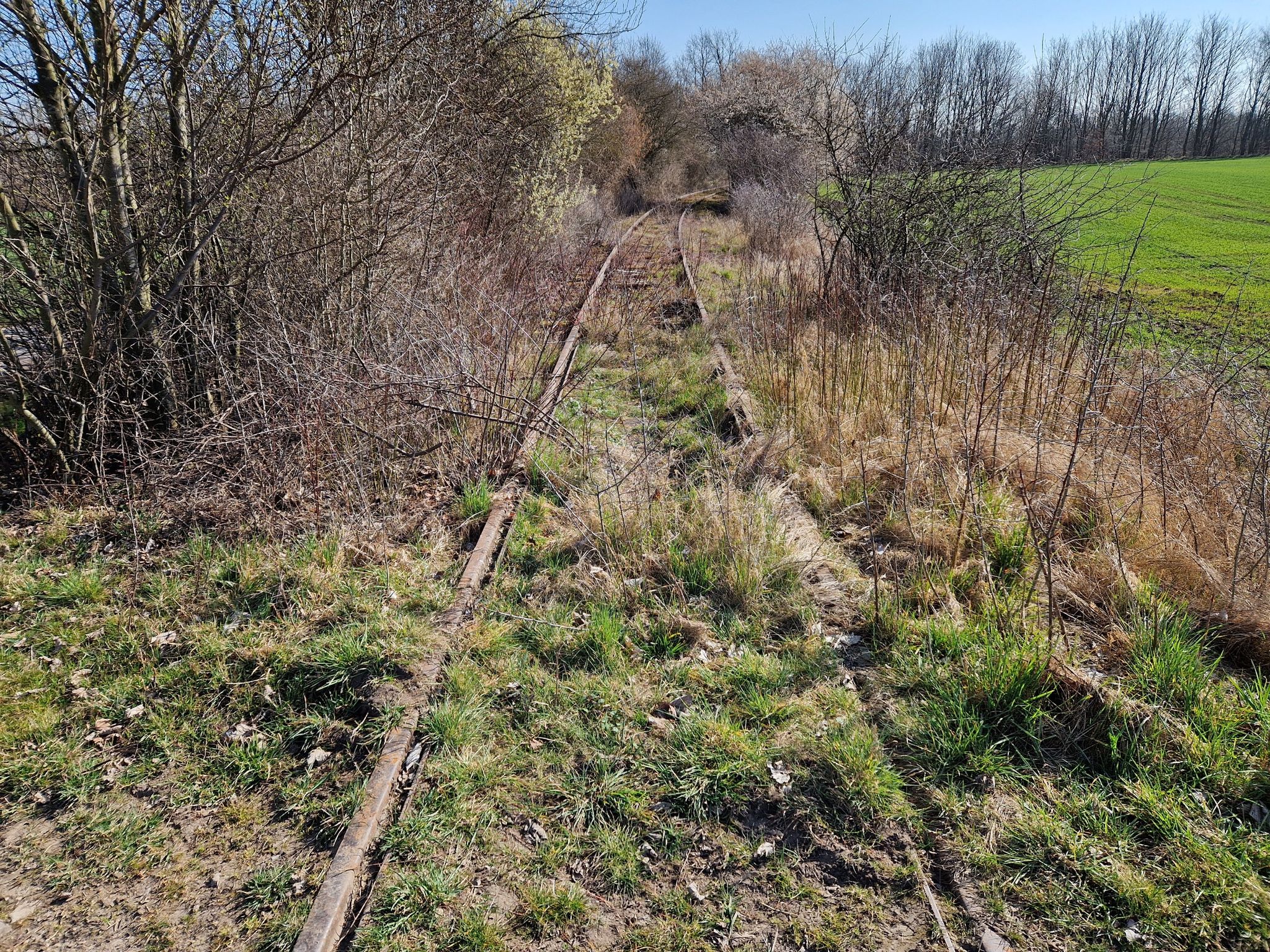 Überlandgleise des Straßenbahnmuseums