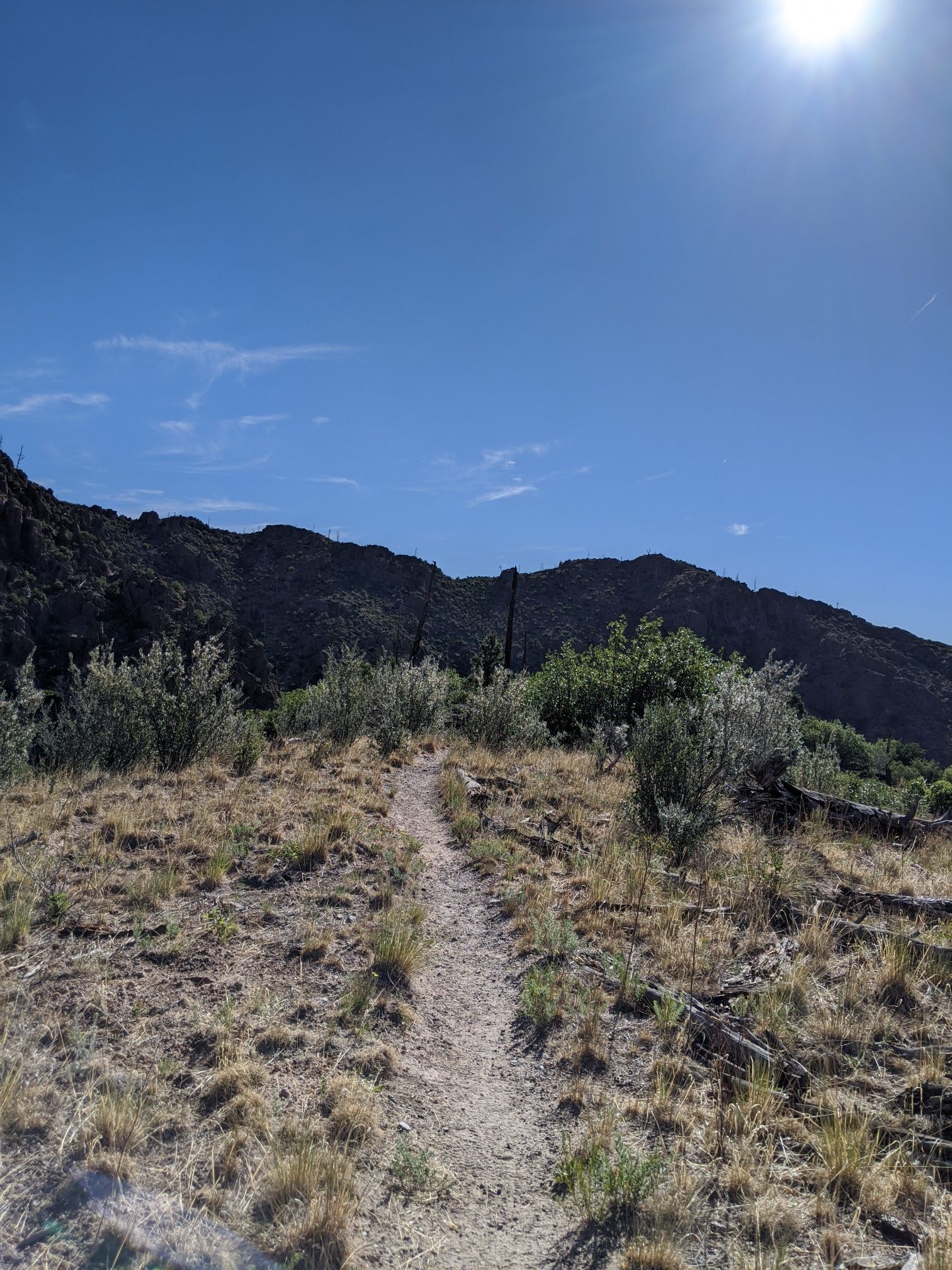 Sunny day on a dry, grassy mountain path with distant dark peaks. - Guaje Ridge/Perimeter Loop