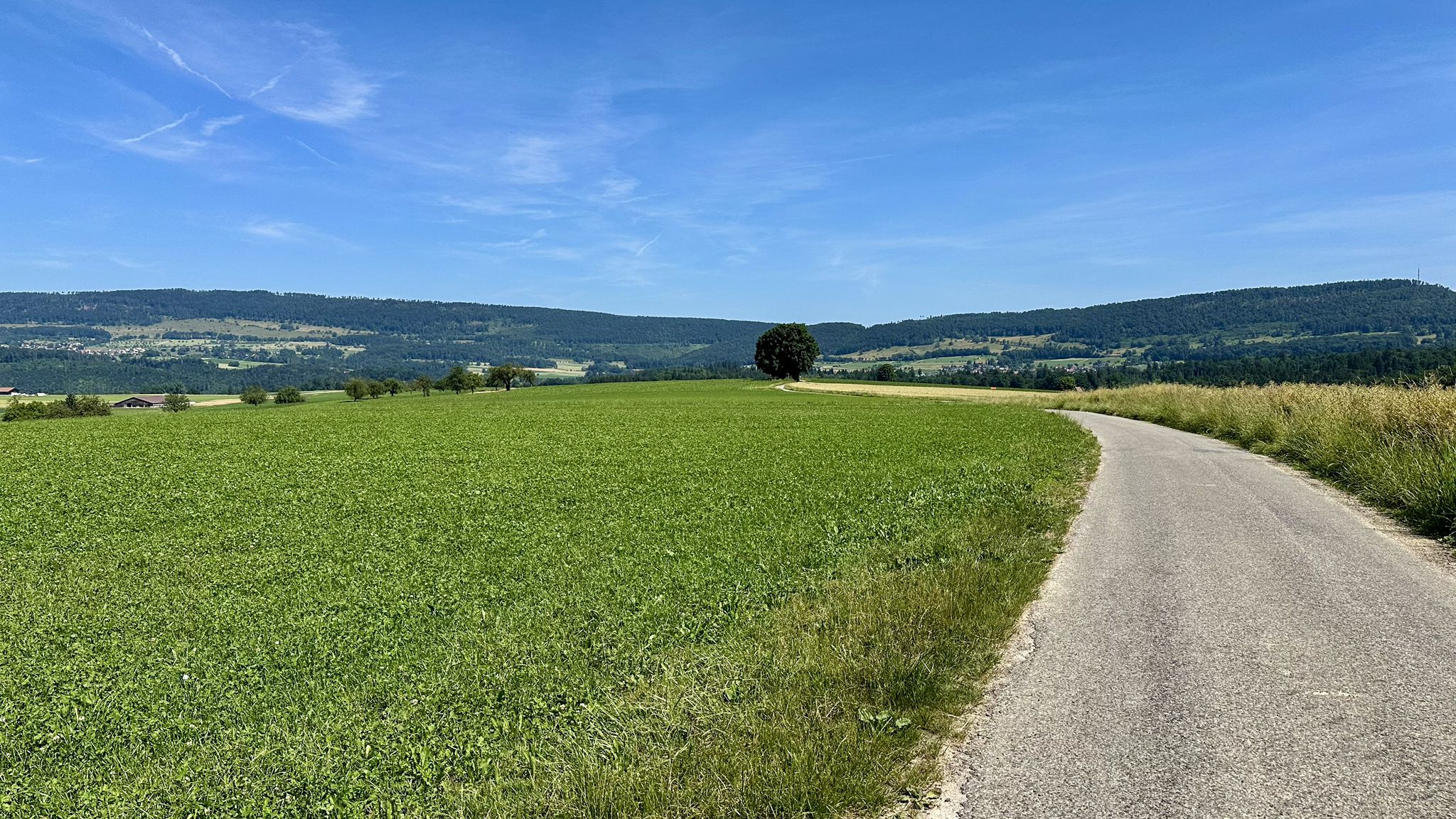 ...Brislach erreicht und quasi am Ziel 🥘🍎🦴🍗🥓🥧🍳...