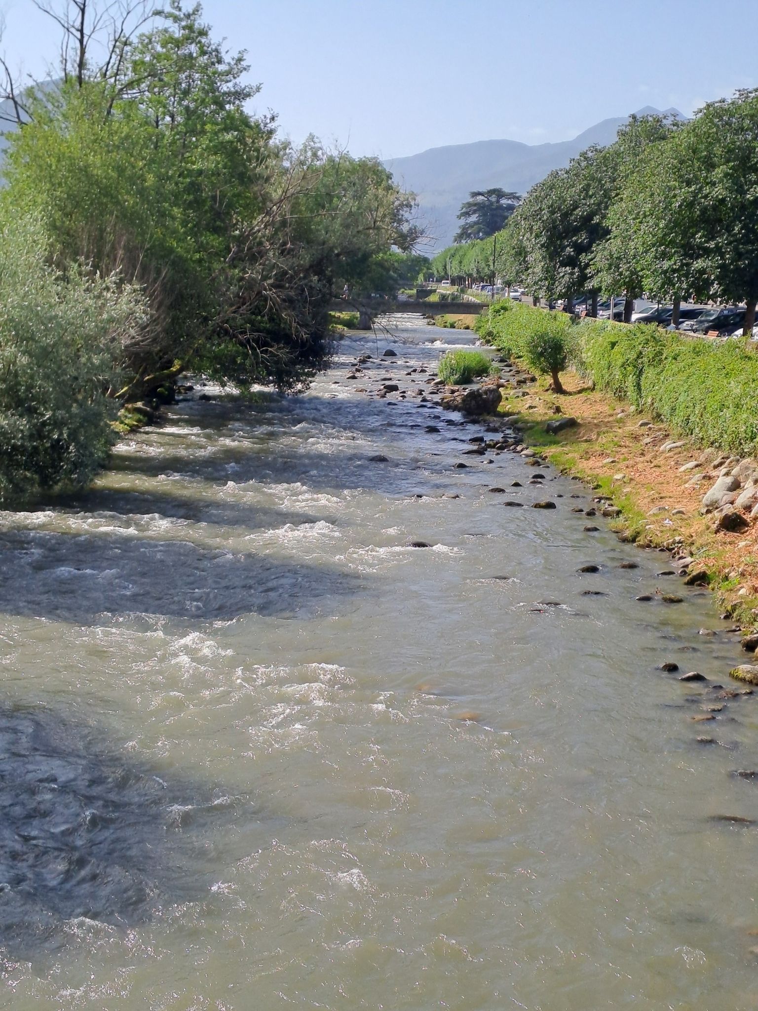 Adour