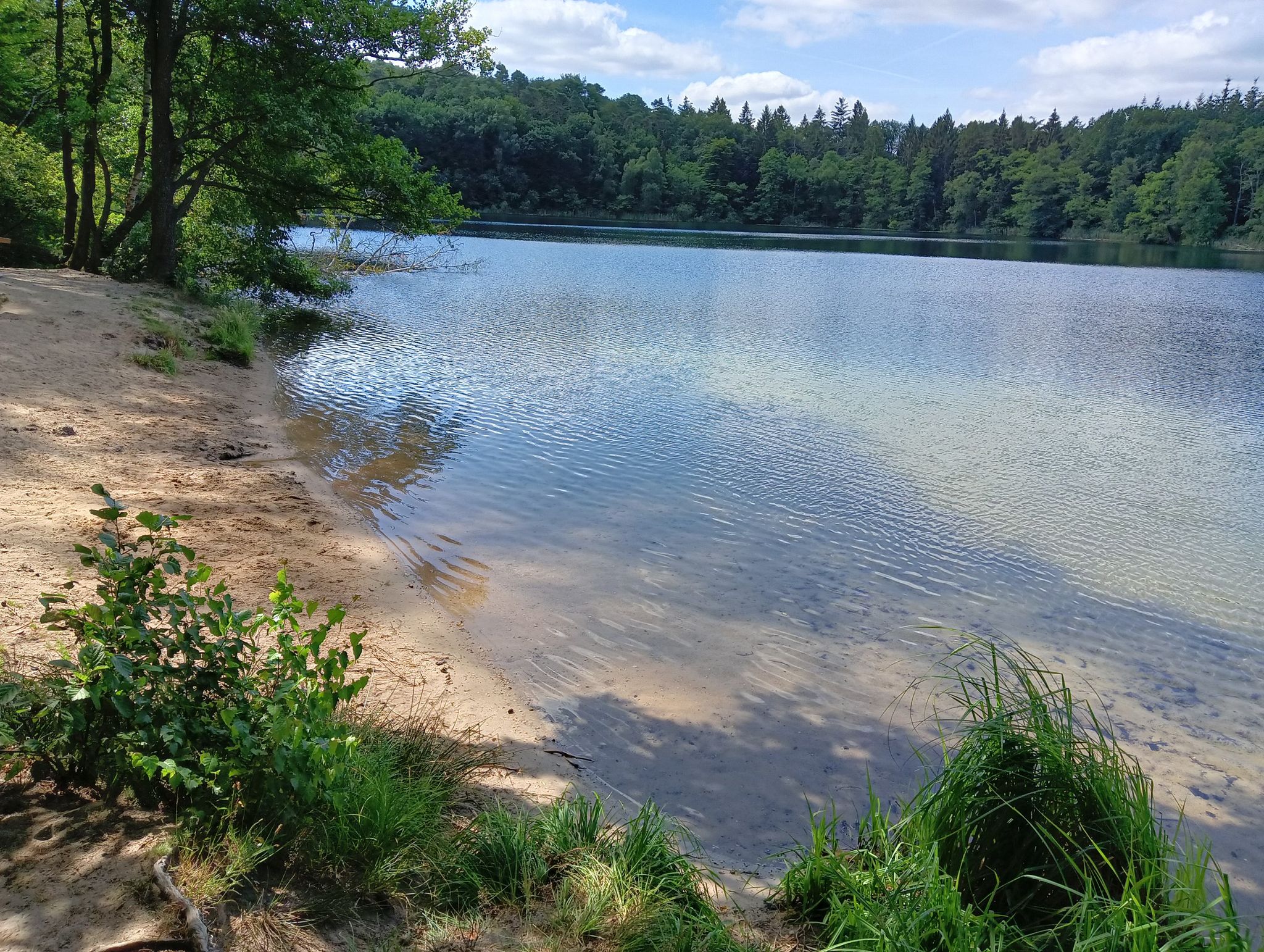 Krebssee Badestelle