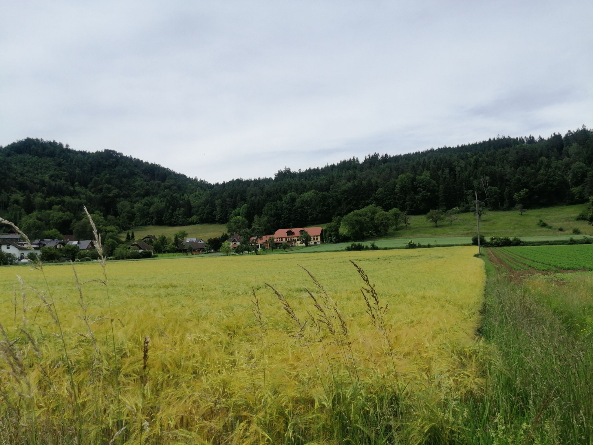 Zeiseisberg