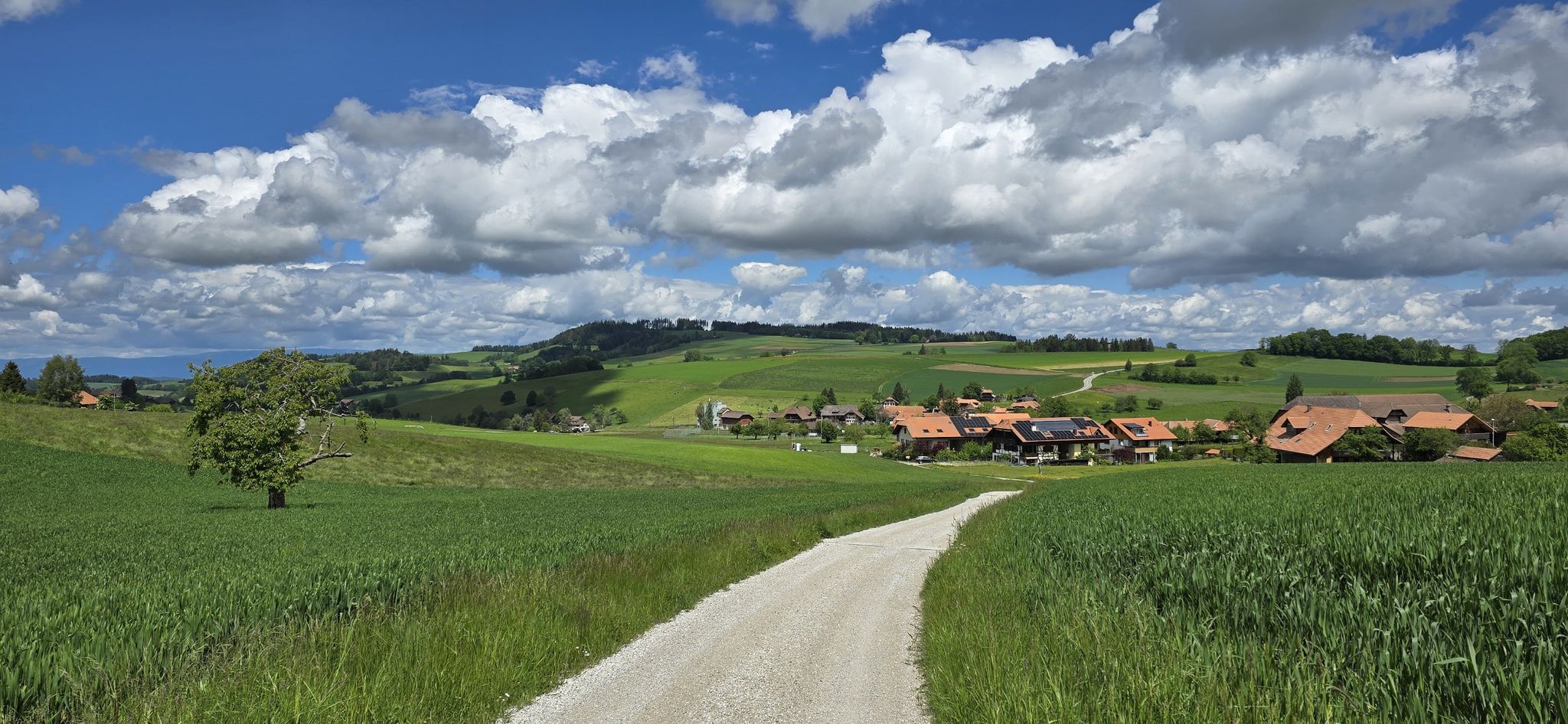Niedermuhlern