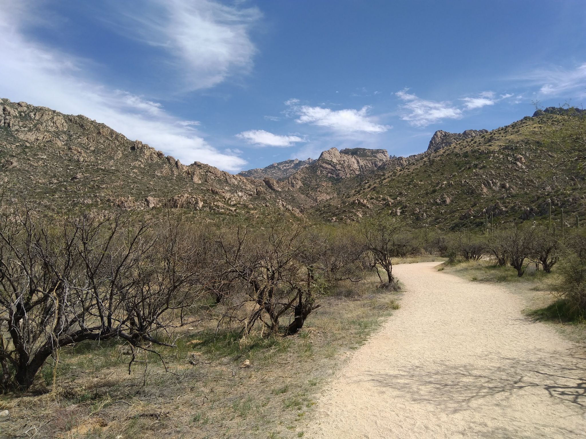 Sandy path winding through a desert landscape with scrub brush and mountains. - Romero Canyon Trail to Romero Pools