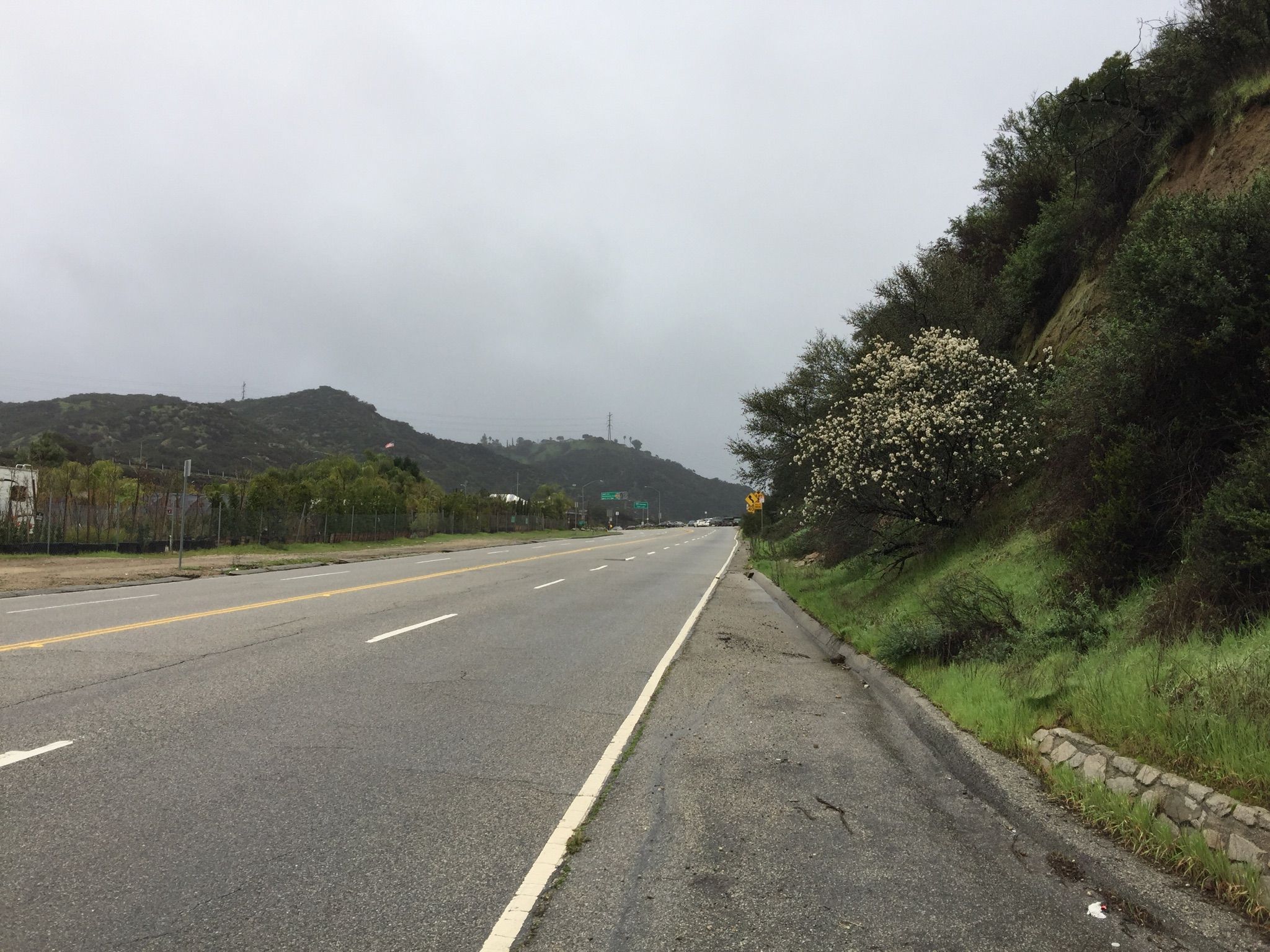 Empty highway next to a green, tree-covered hillside on an overcast day. - La Tuna Canyon Road – Miradero Gate loop from Downtown Burbank