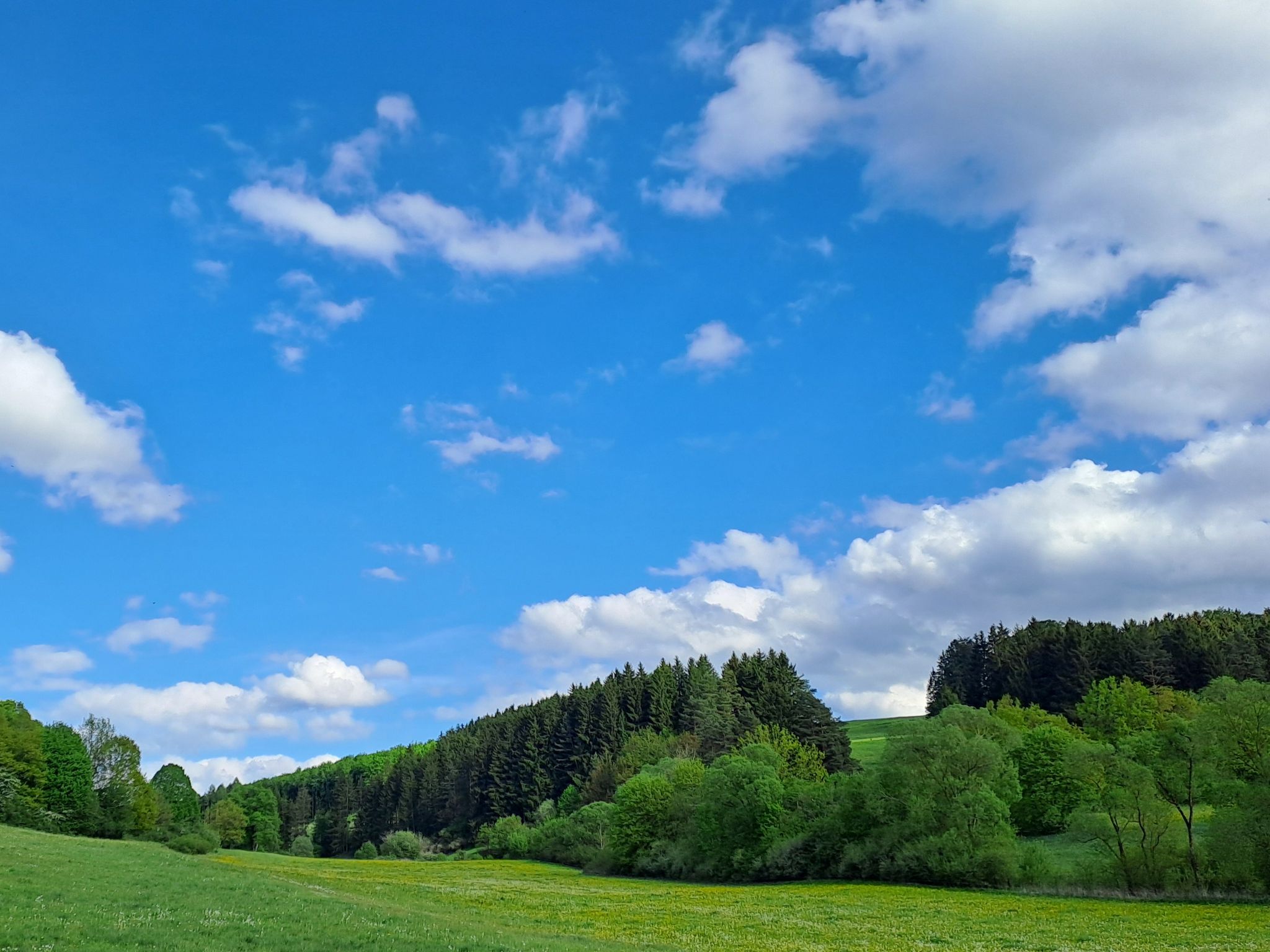 grün + blau