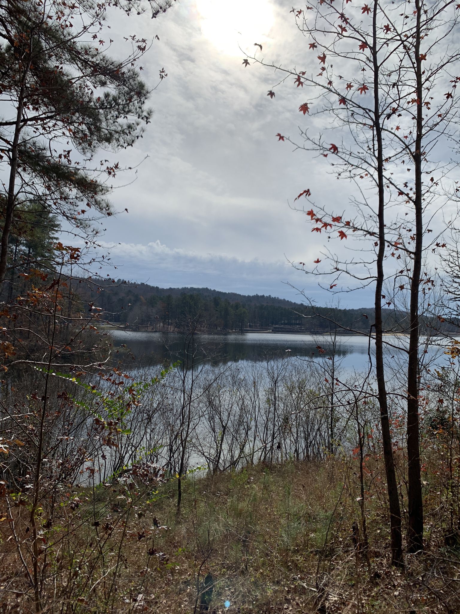 Lake framed by trees with red leaves, under a bright cloudy sky. - Double Oak Lake Trail loop from South Trailhead