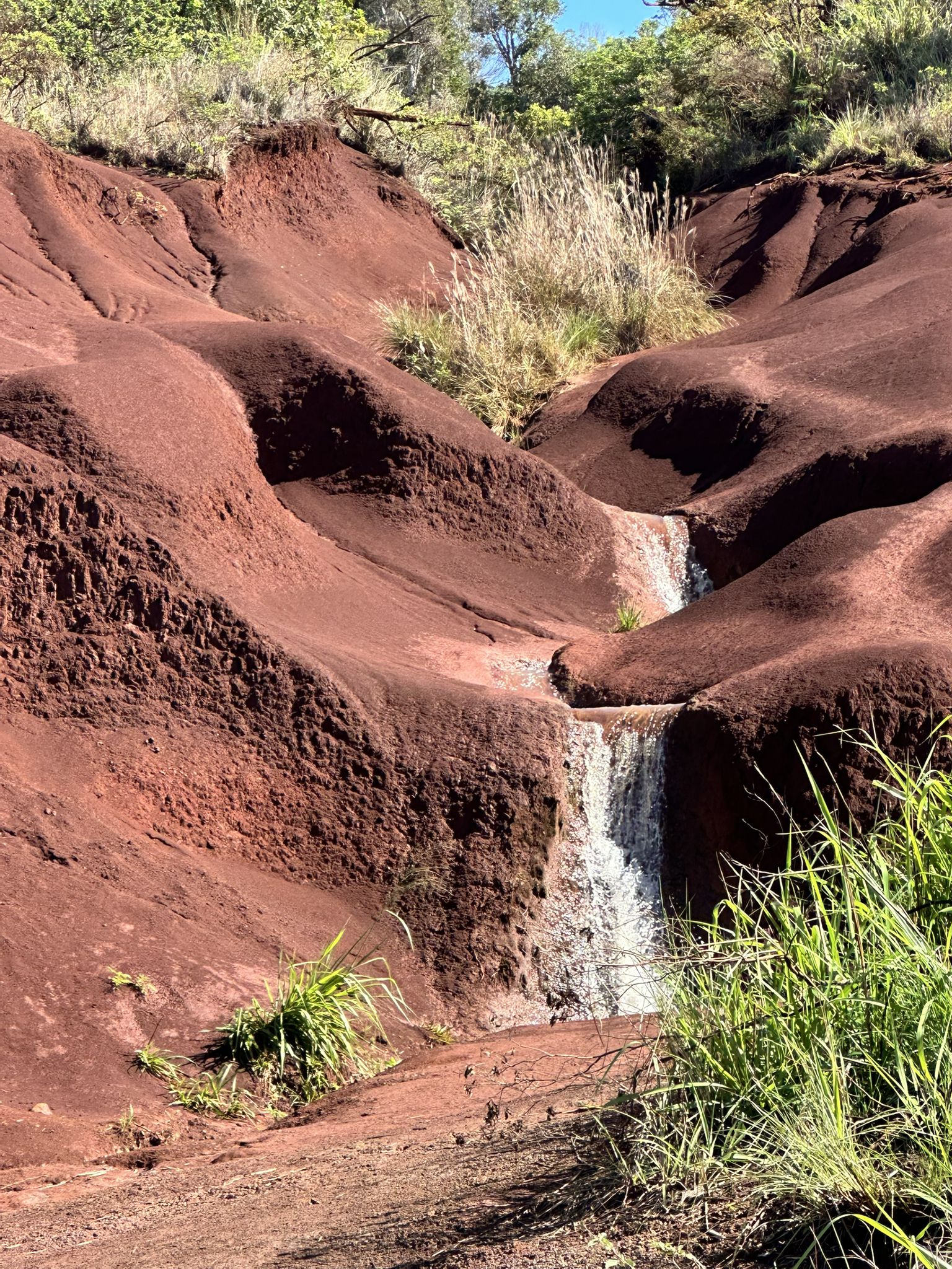 Small waterfalls cascading over eroded red earth with green grasses. - Kokee Road and Waimea Canyon Road loop