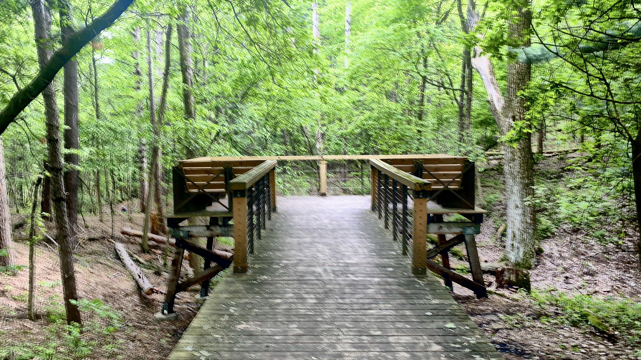 Wooden boardwalk and viewing platform in a lush green forest under soft light. - Reservoir Woods Trail