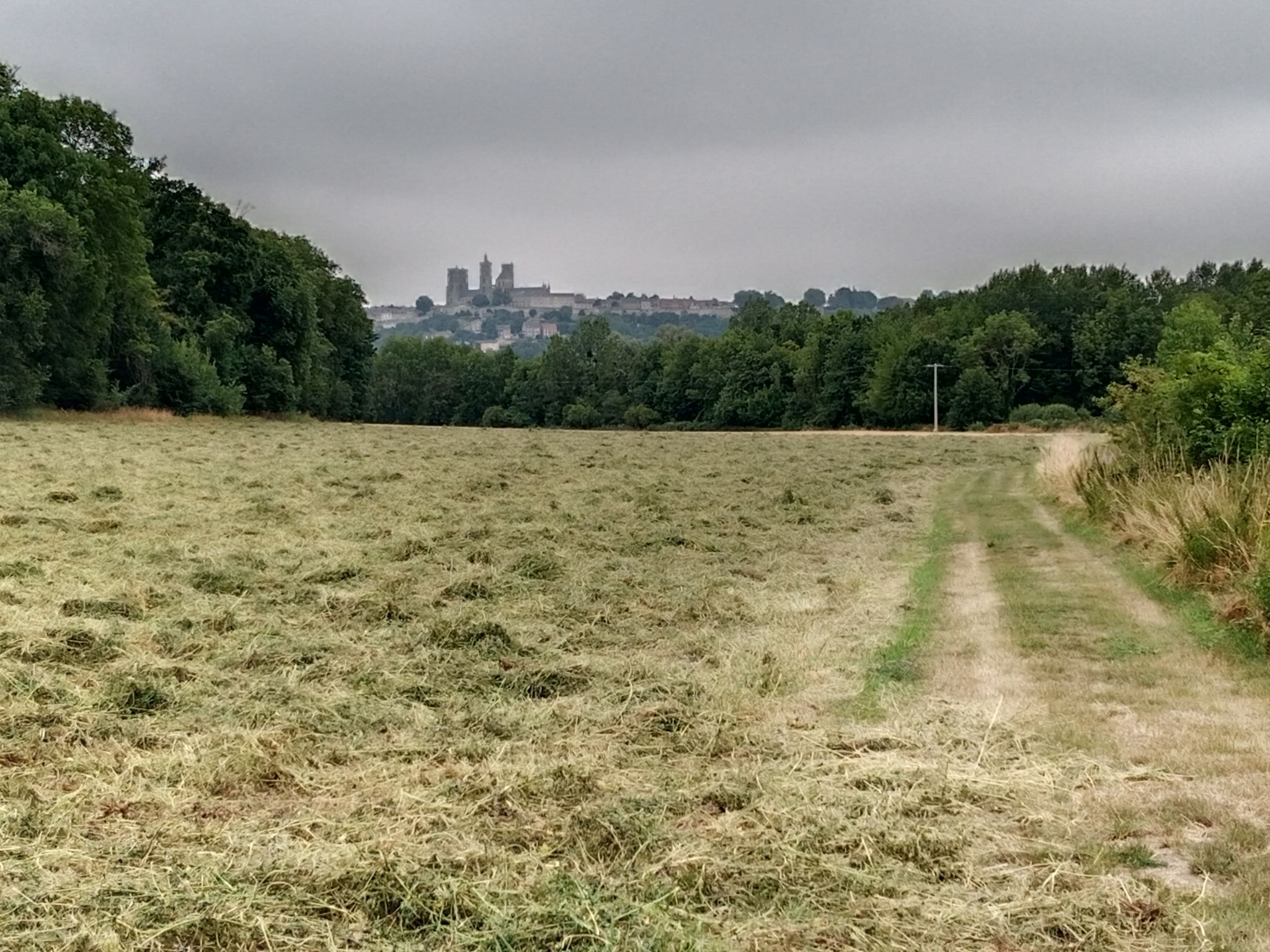 ça sentais bon l'herbe coupée