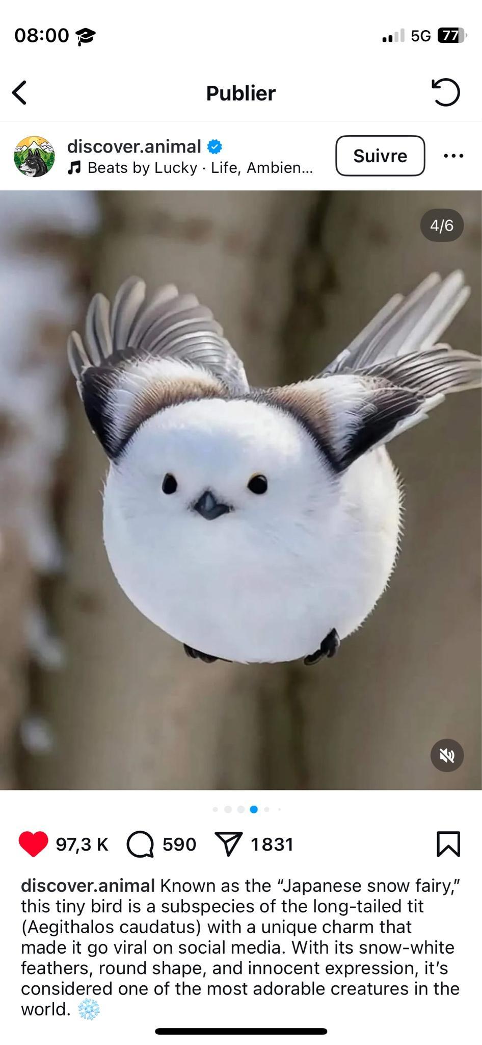 user avatar