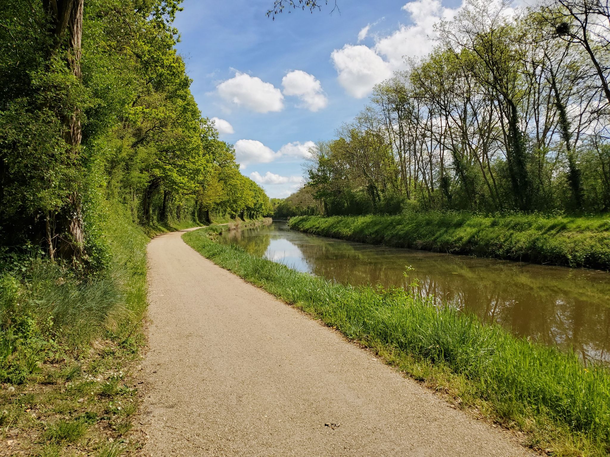 Fay-aux-Loges - le canal d'Orléans