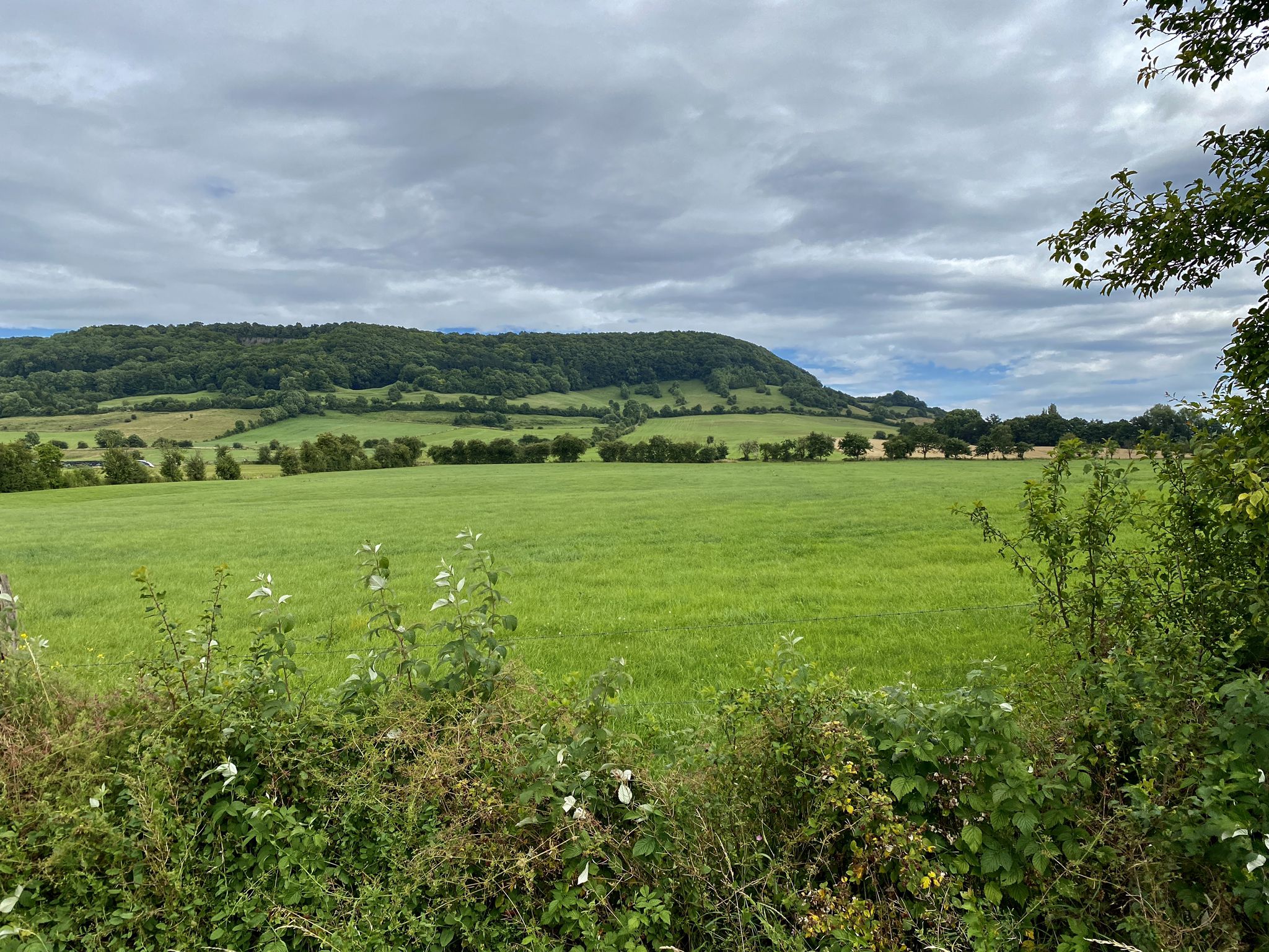 Sicht auf den Holzberg