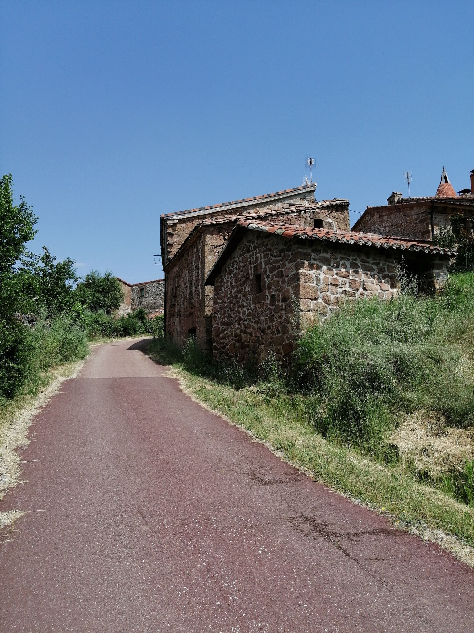 castrovido