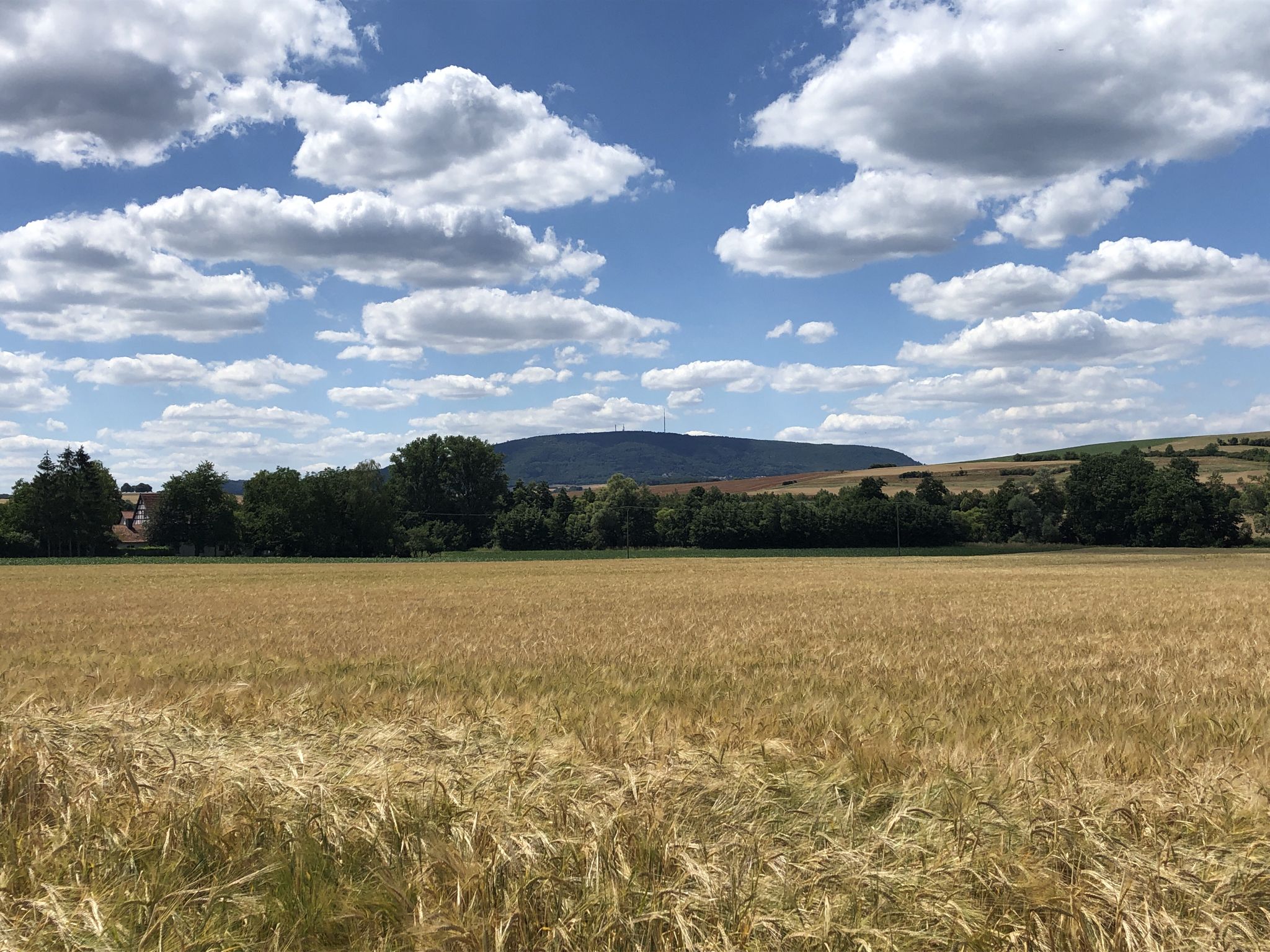 Blick auf den Donnersberg 