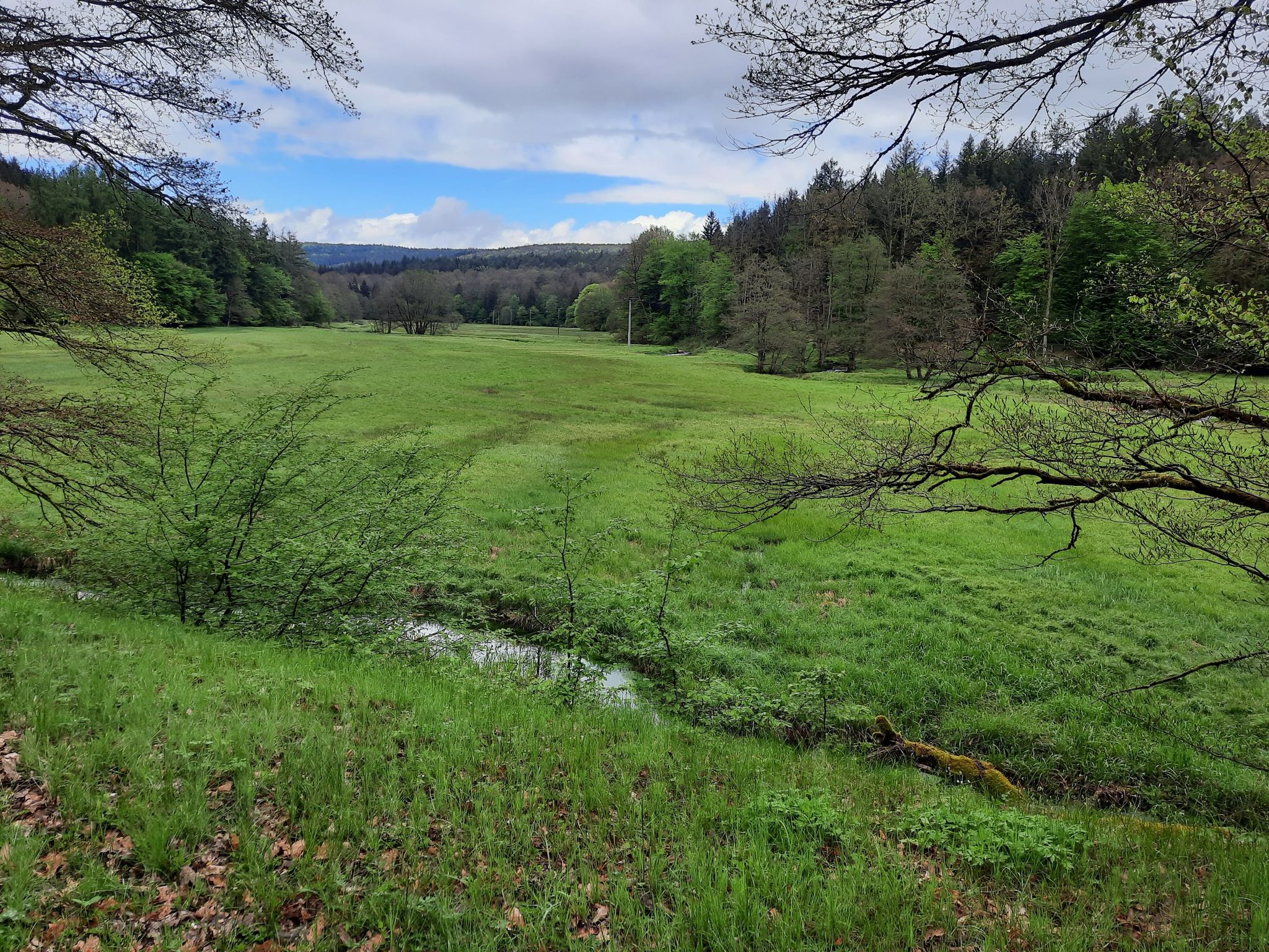 Spessart