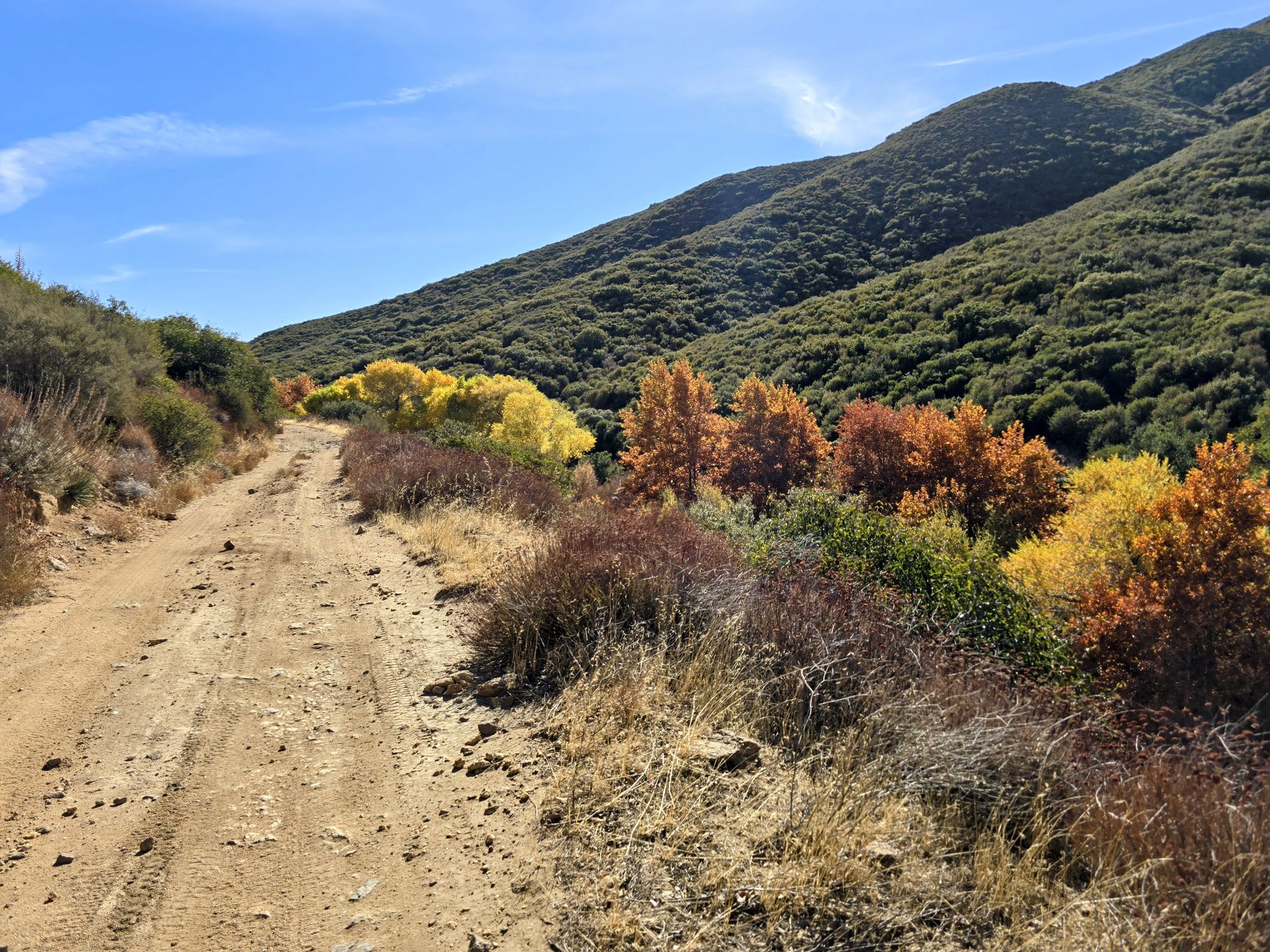 Dirt road winding through mountains with vibrant autumn trees under a clear sky. - Oriflamme and Chariot Canyon Trail