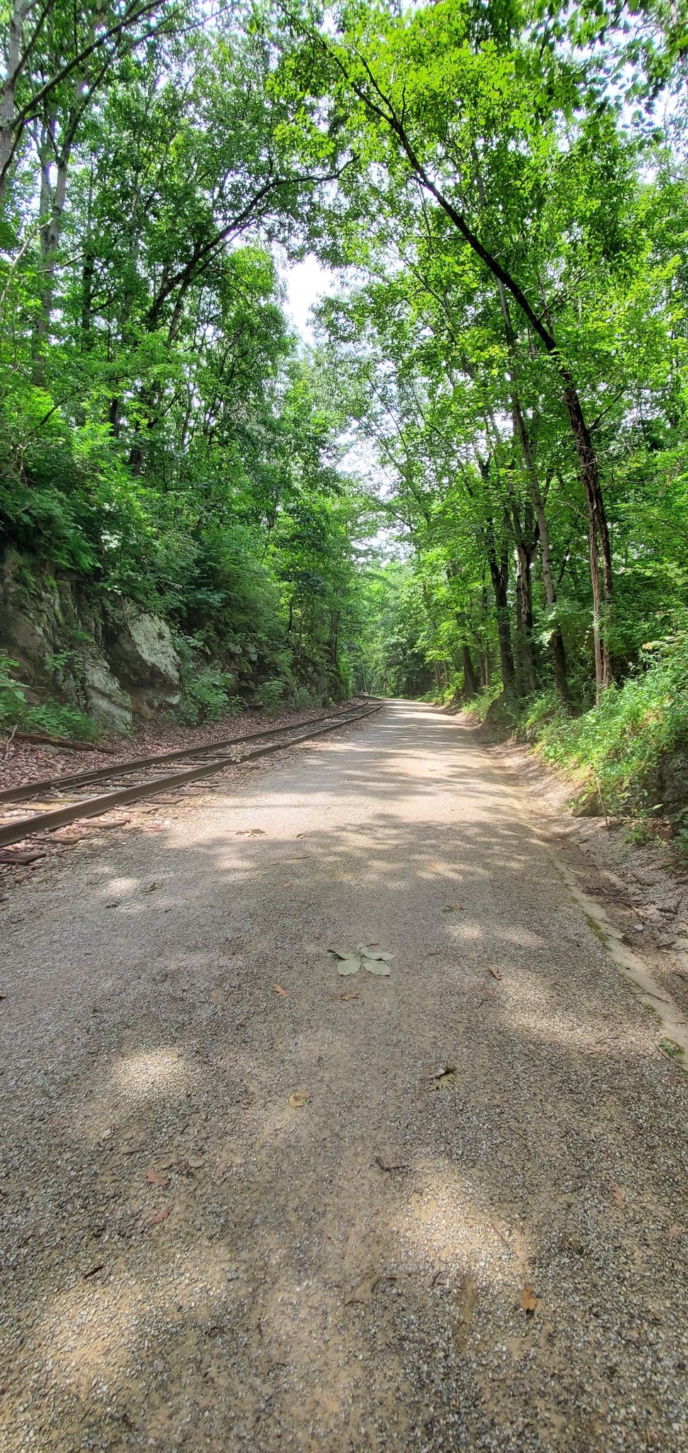 A gravel path and railroad tracks wind through a sunlit, rocky forest. - New Freedom – NCR Trail Bridge 40.39 loop from Jacobus
